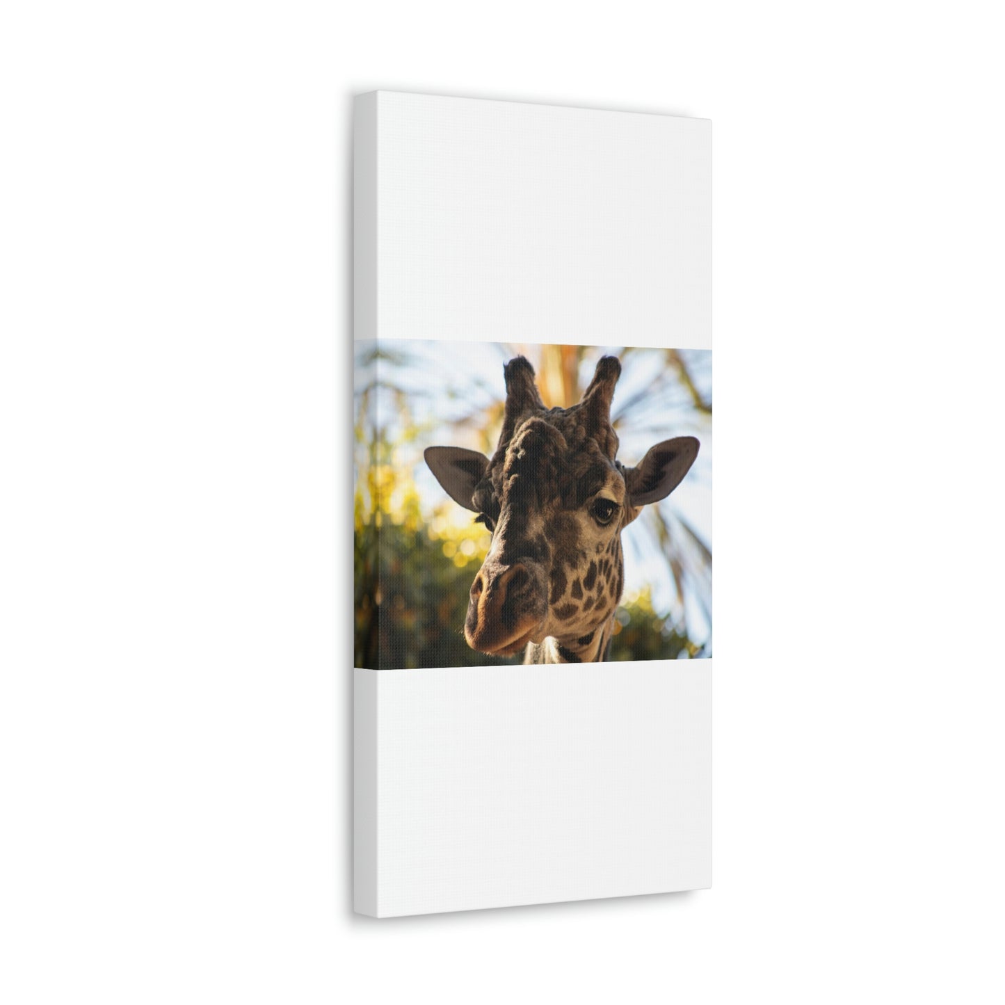 The Giraffe Says Hello Canvas