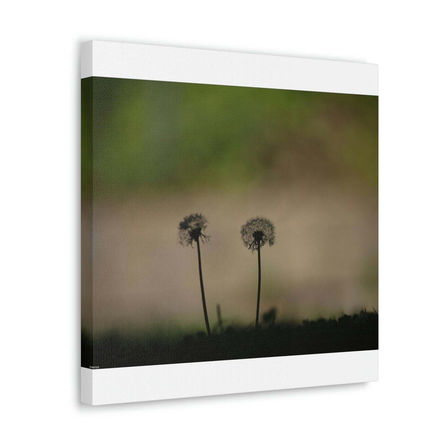 Dandelions Opposing Part 1 Canvas