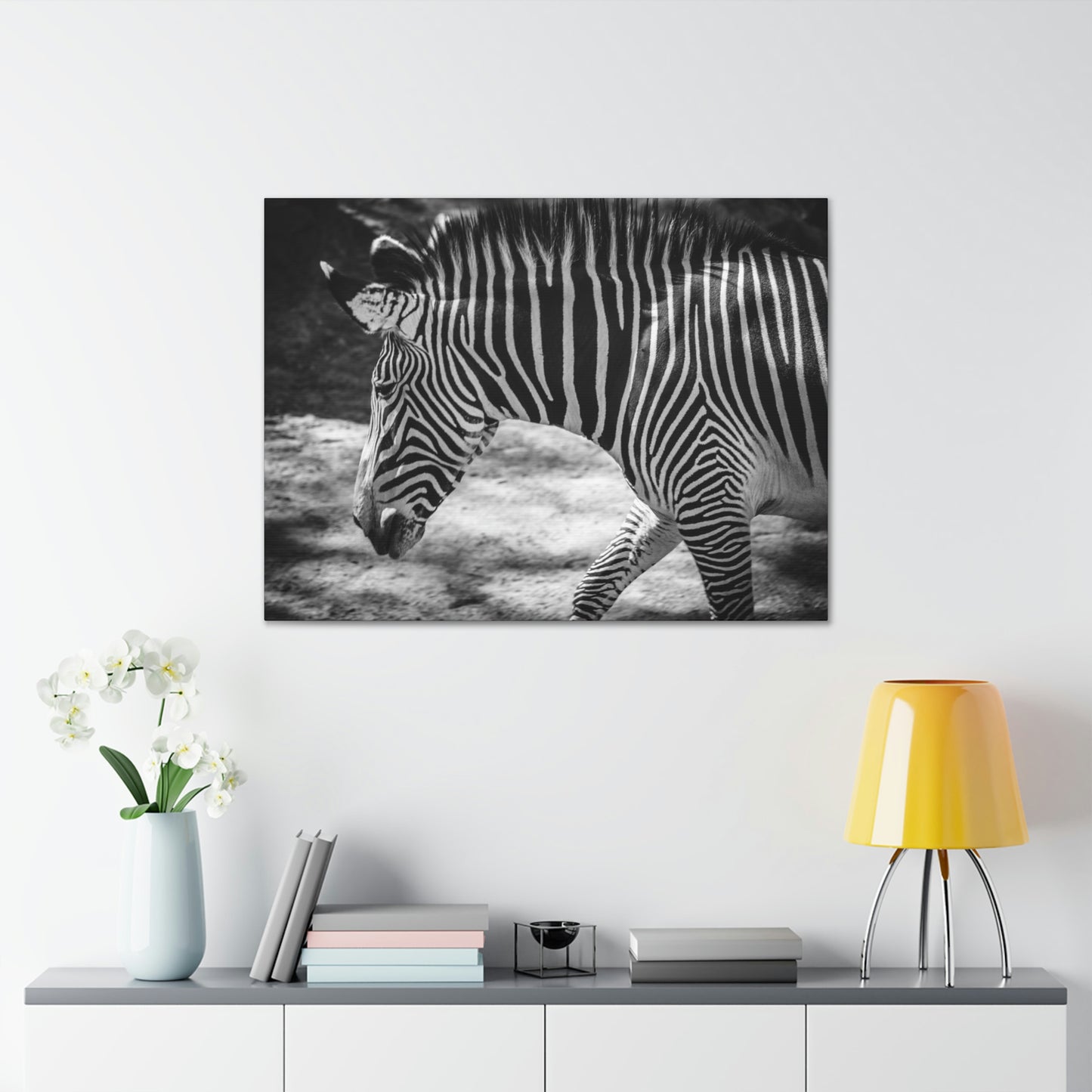 Zebra Bowing Canvas