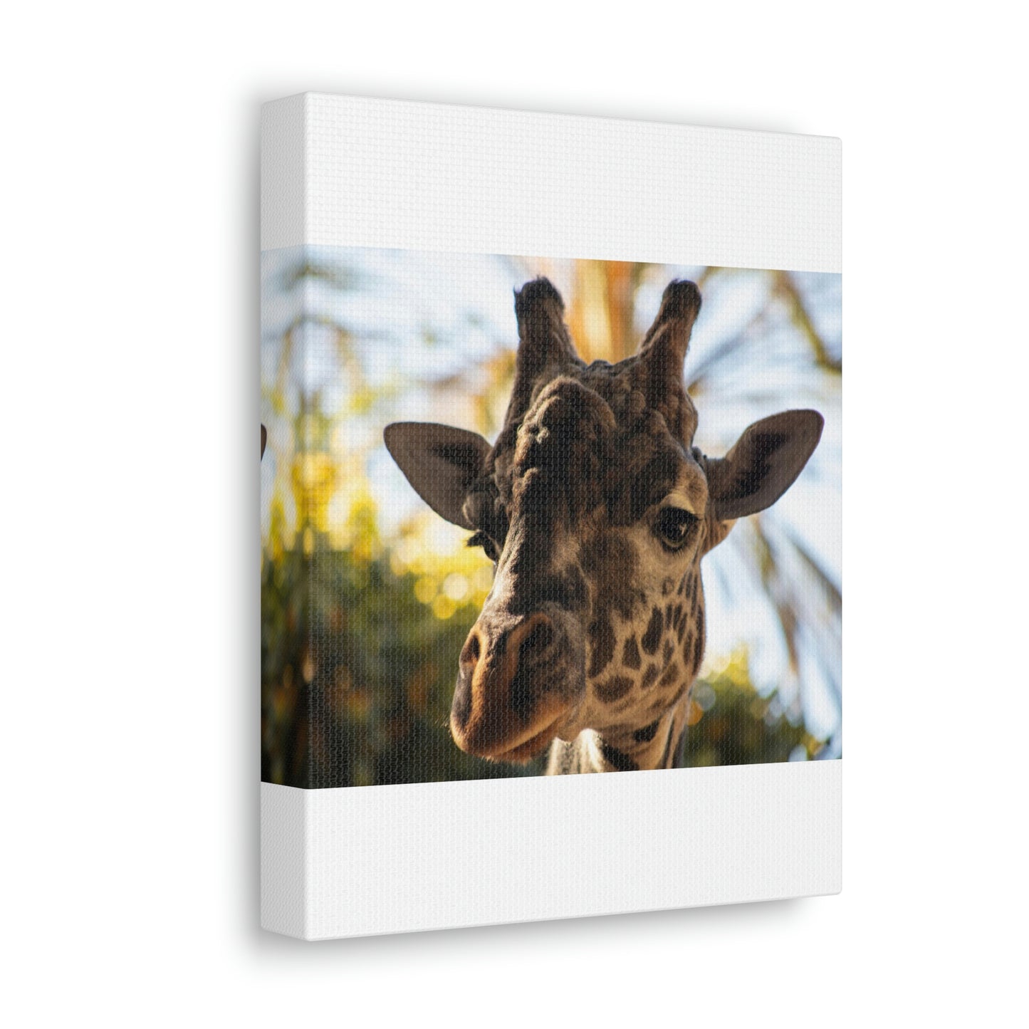 The Giraffe Says Hello Canvas