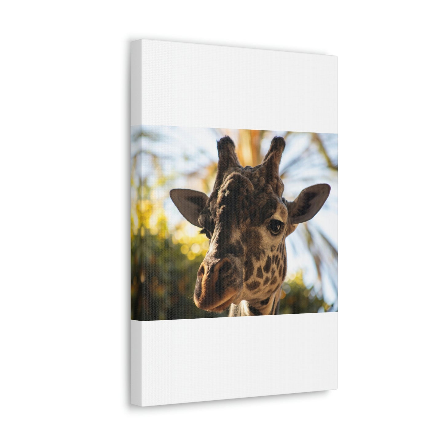 The Giraffe Says Hello Canvas