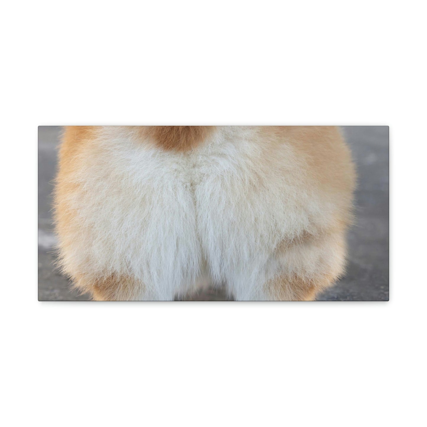 Corgi Butt Canvas