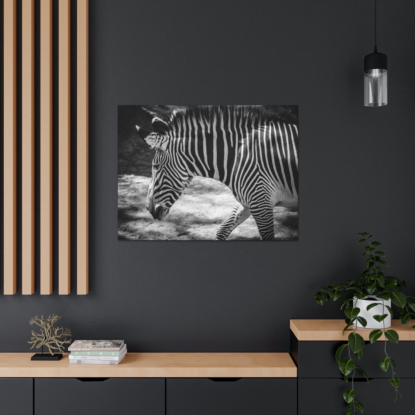 Zebra Bowing Canvas