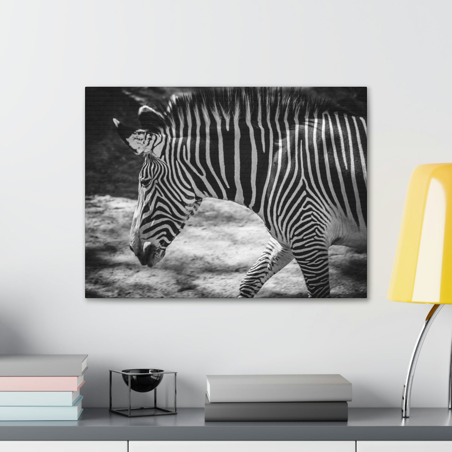 Zebra Bowing Canvas