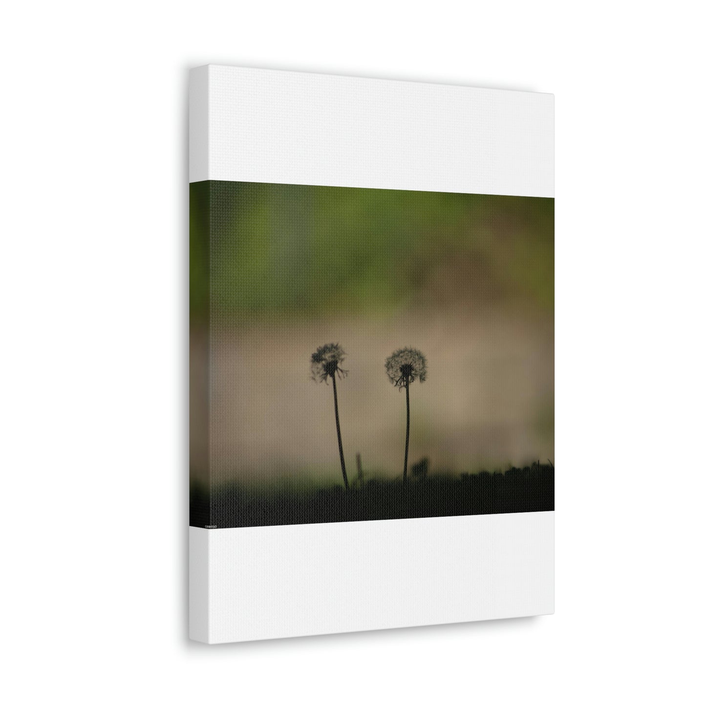 Dandelions Opposing Part 1 Canvas