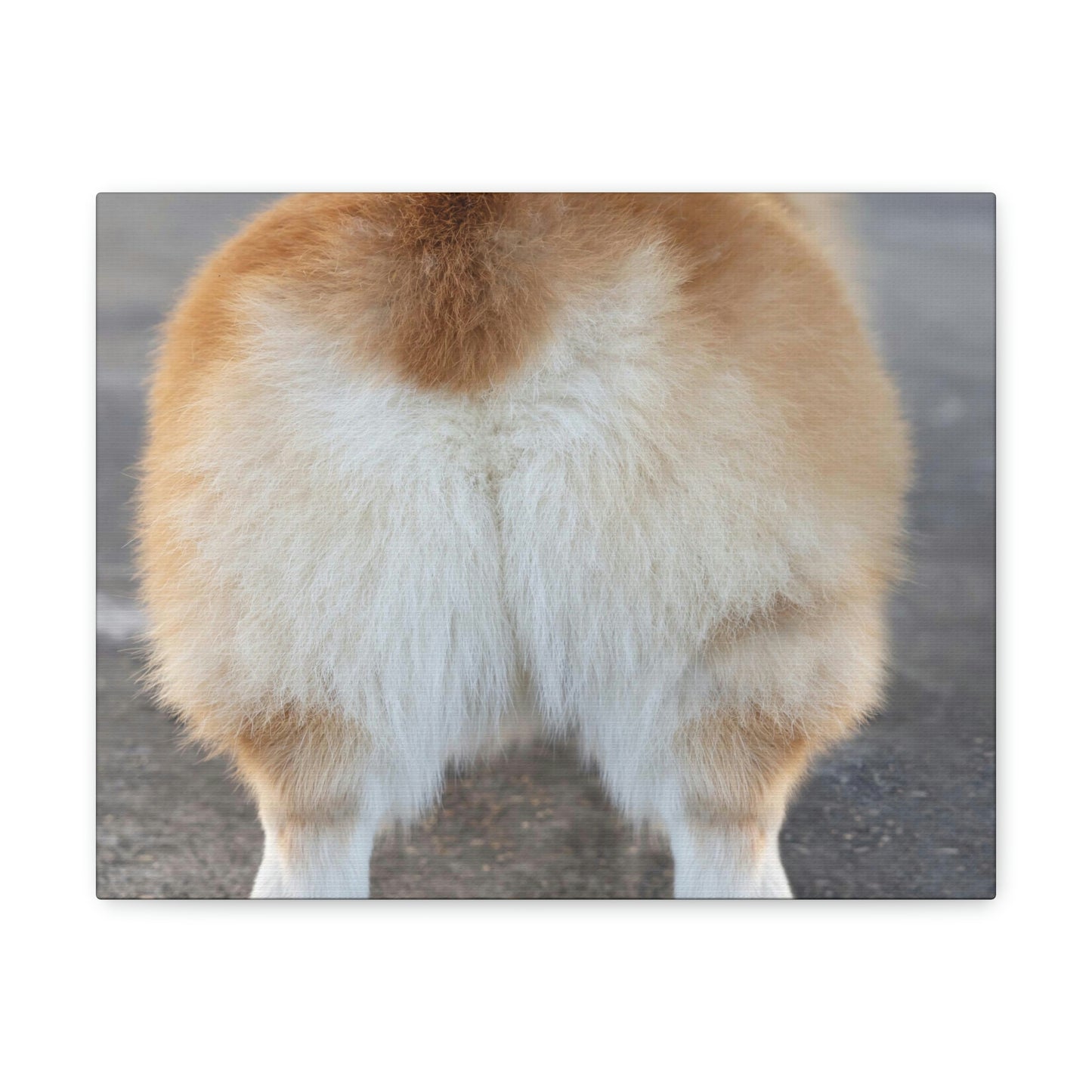 Corgi Butt Canvas