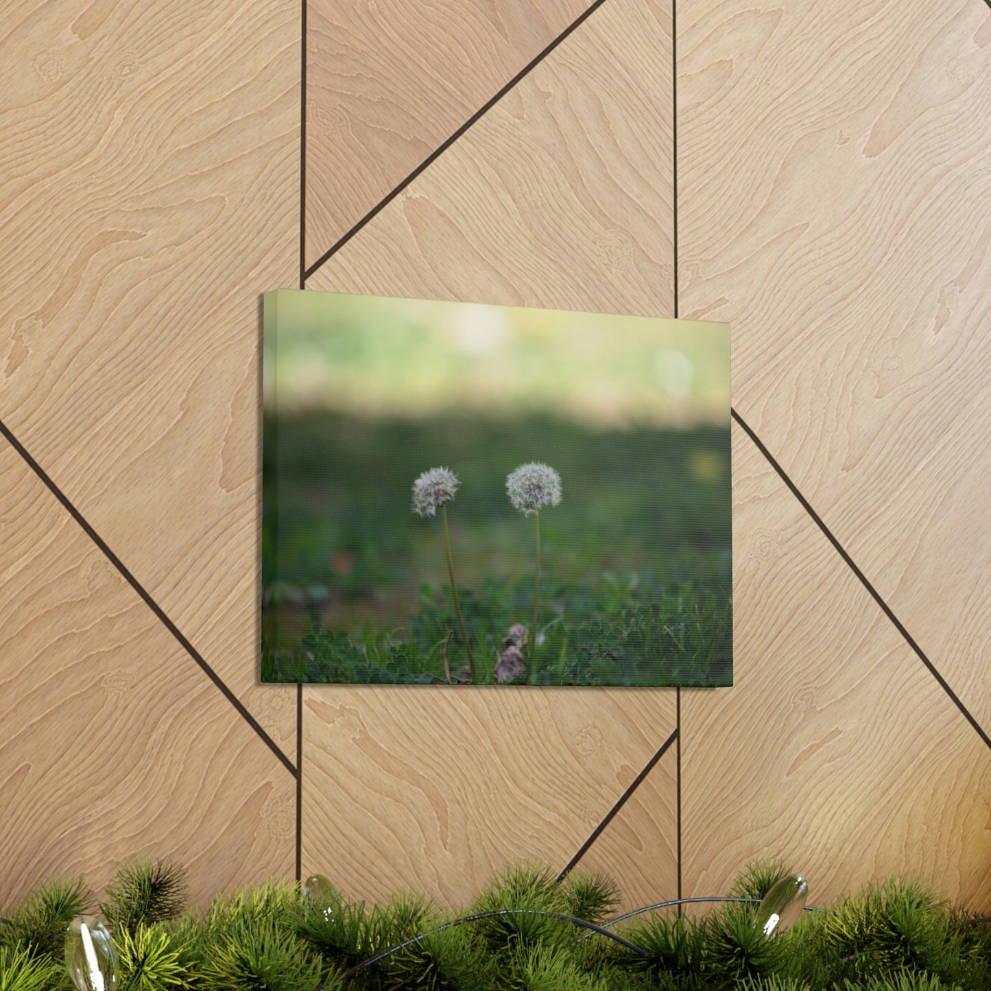 Dandelions Opposing Part 2 Canvas