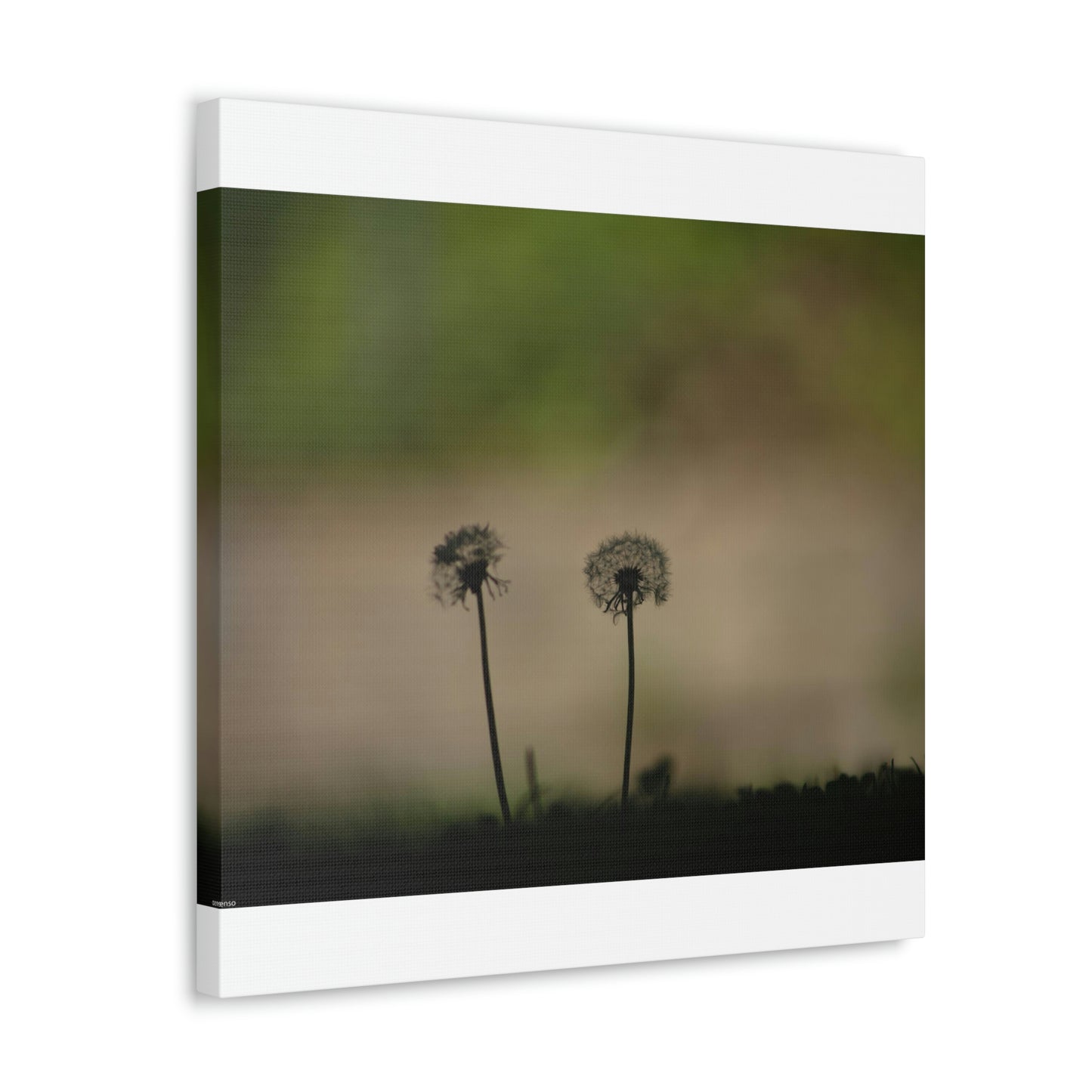 Dandelions Opposing Part 1 Canvas