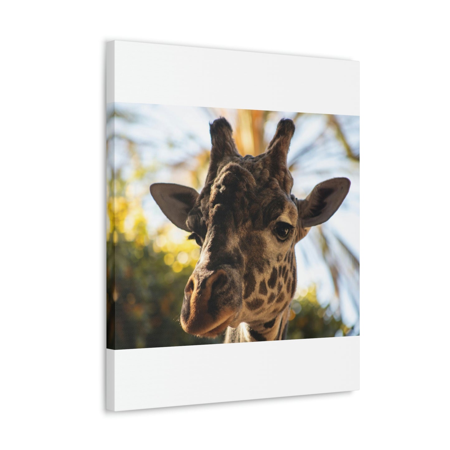 The Giraffe Says Hello Canvas