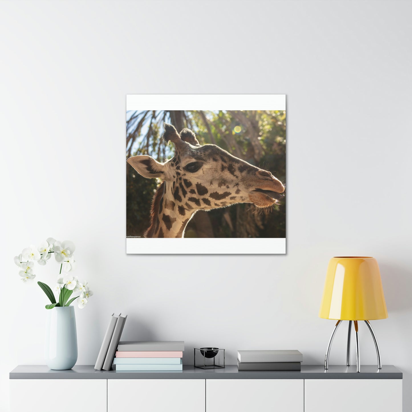 Smiling Giraffe Canvas