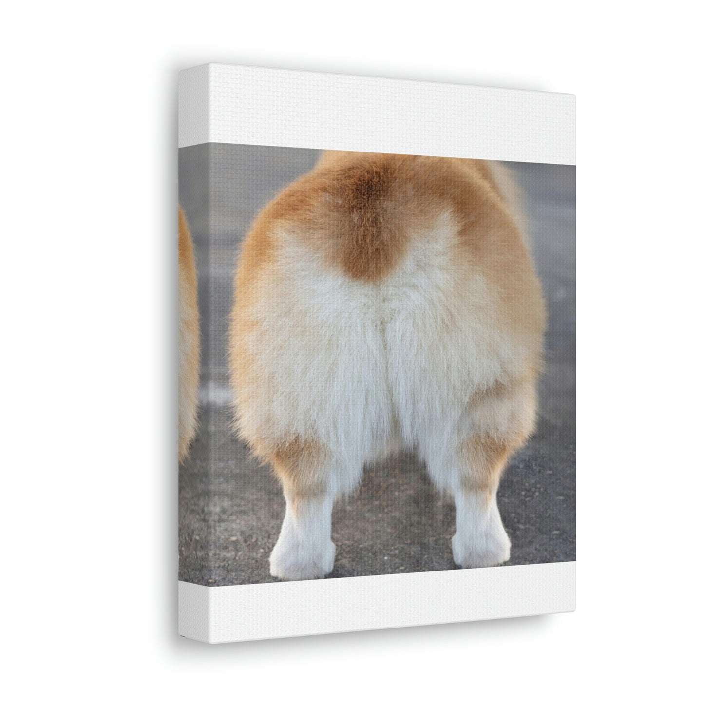 Corgi Butt Canvas