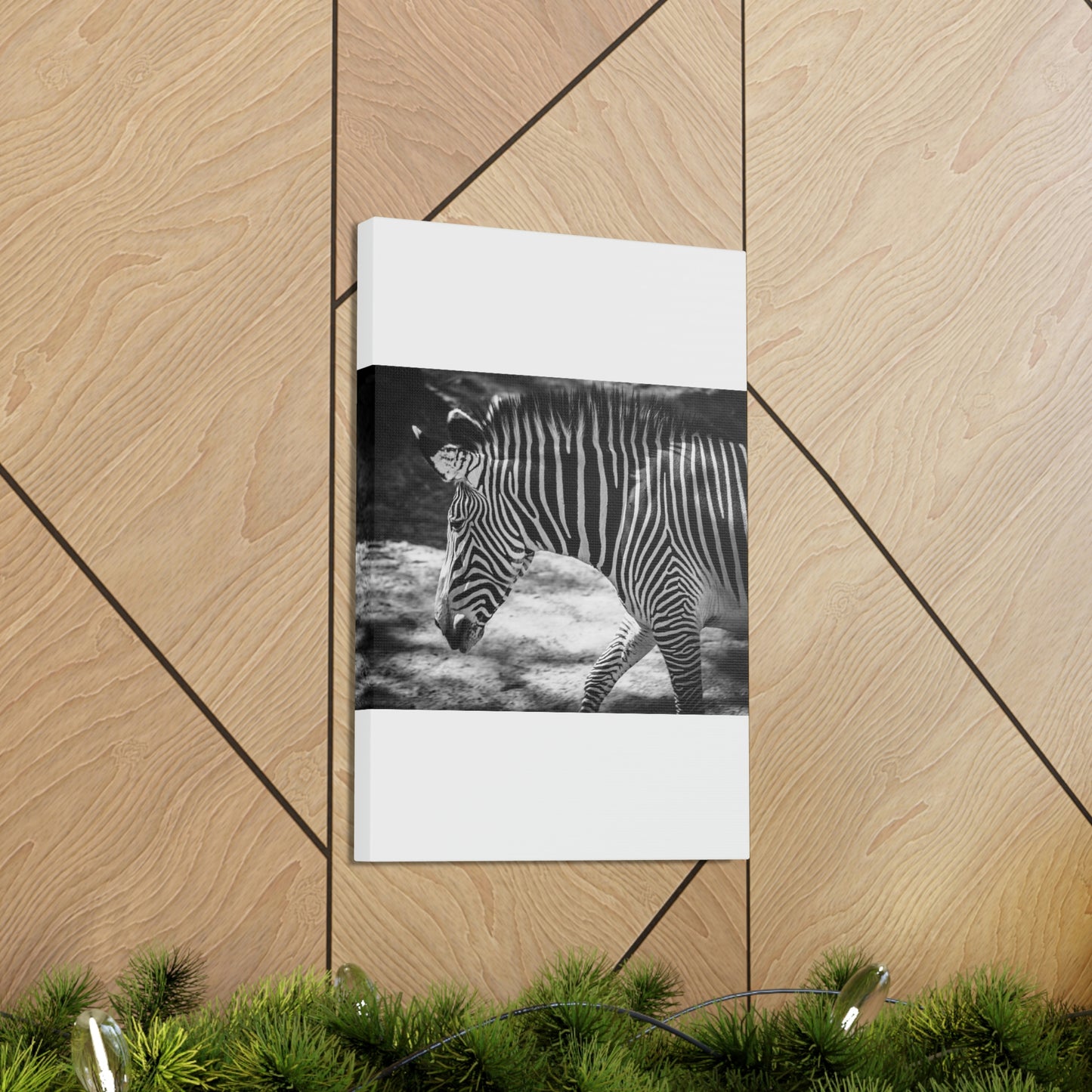 Zebra Bowing Canvas