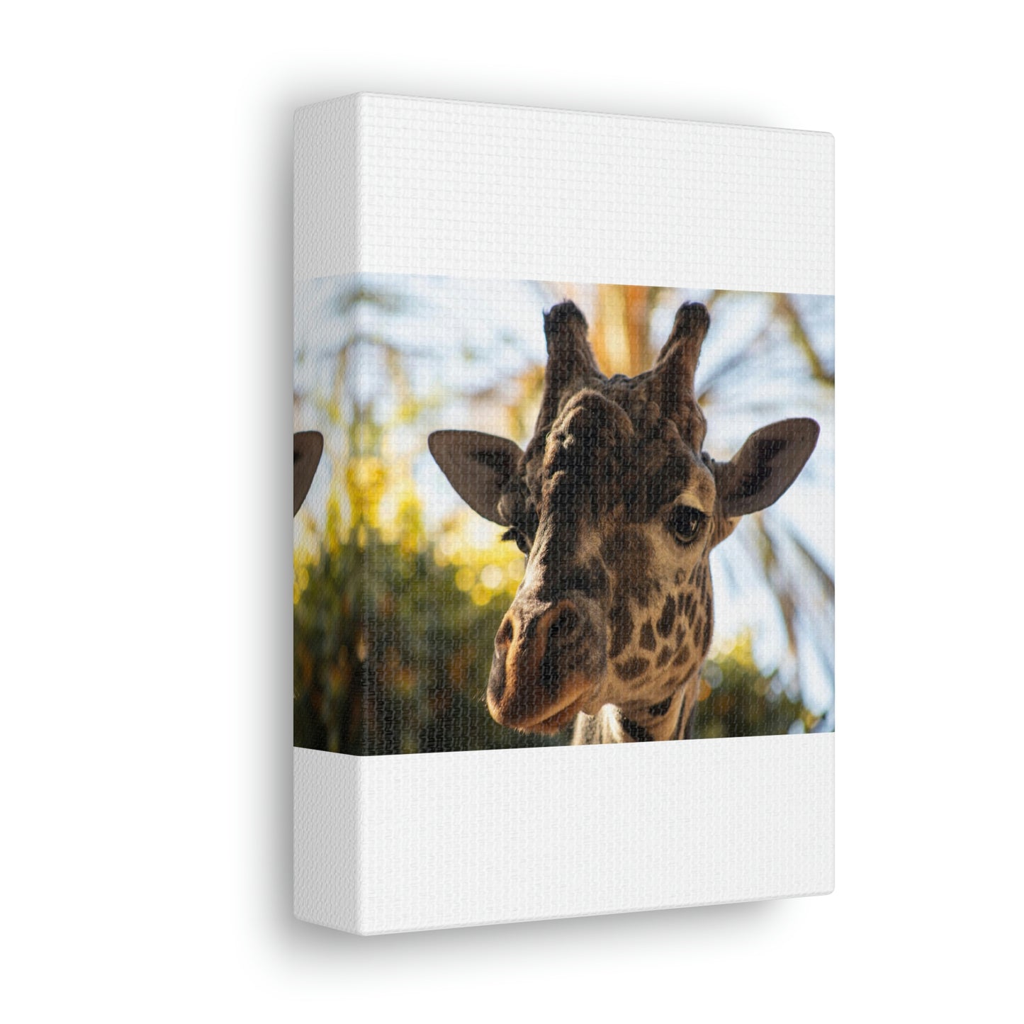 The Giraffe Says Hello Canvas