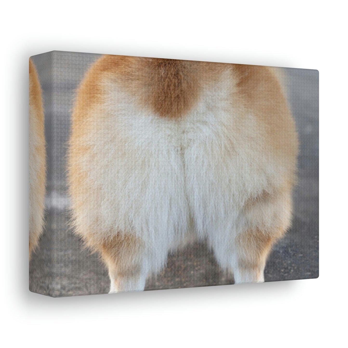 Corgi Butt Canvas