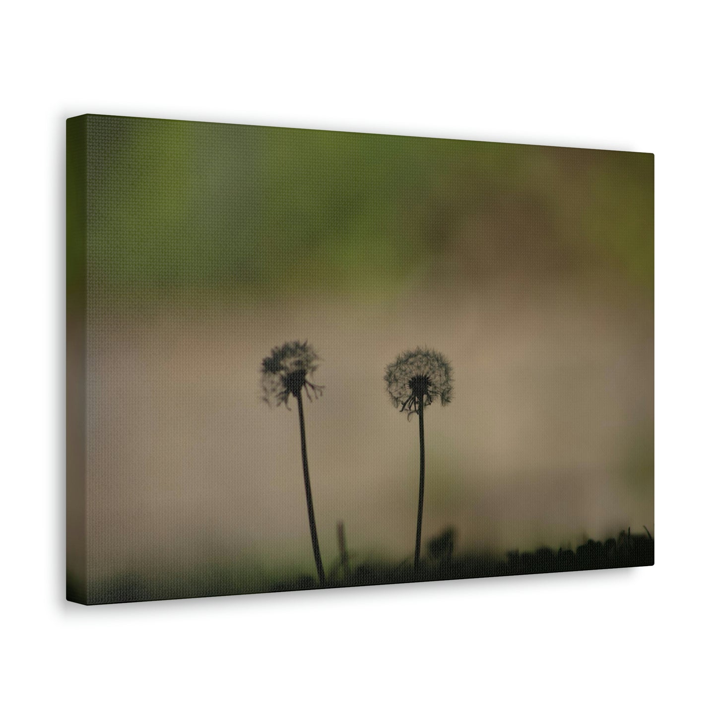 Dandelions Opposing Part 1 Canvas