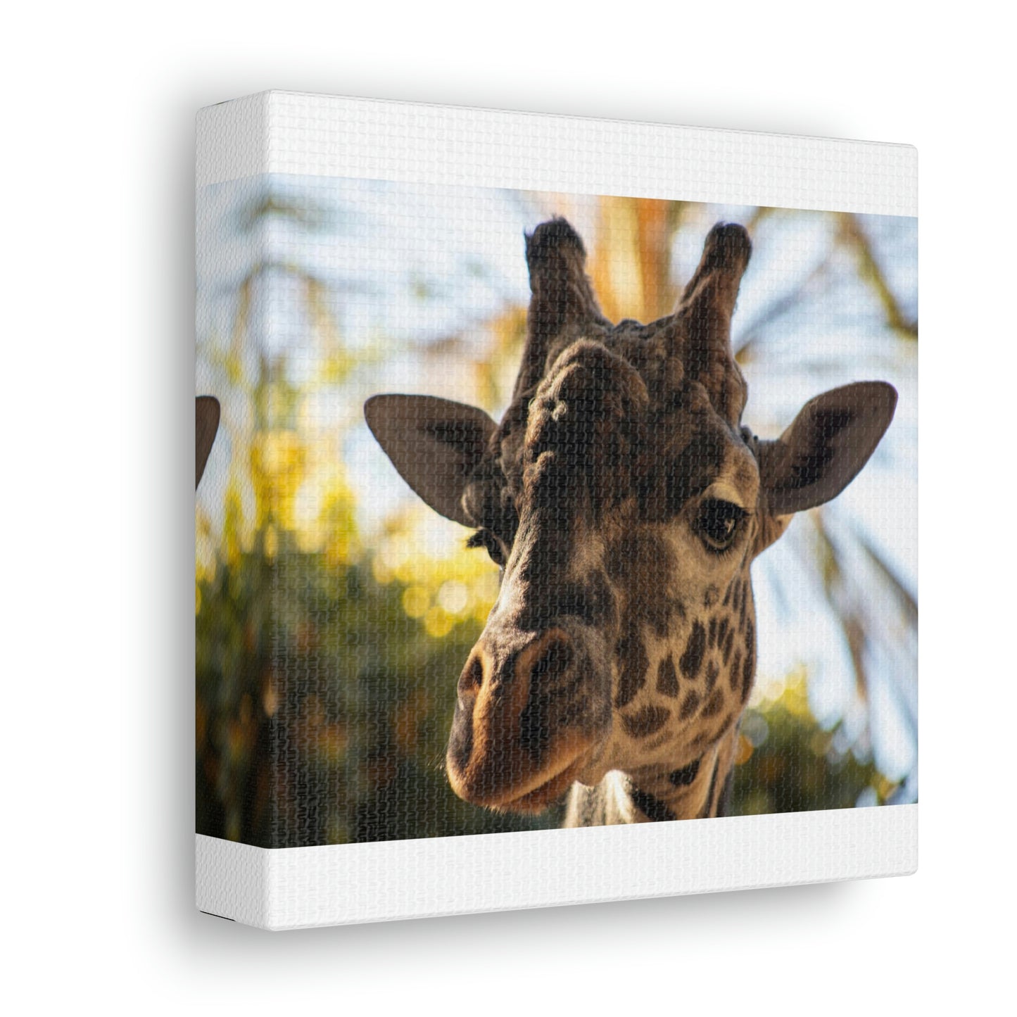 The Giraffe Says Hello Canvas