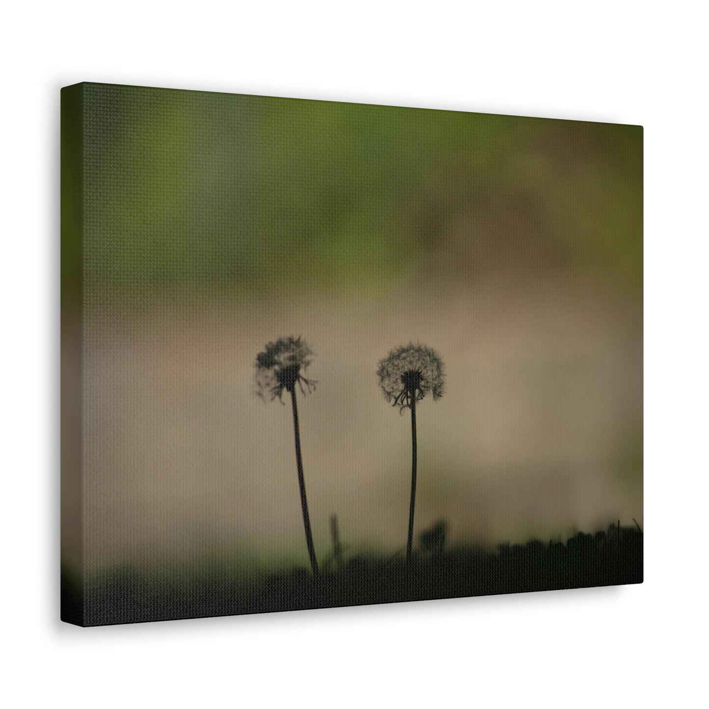 Dandelions Opposing Part 1 Canvas