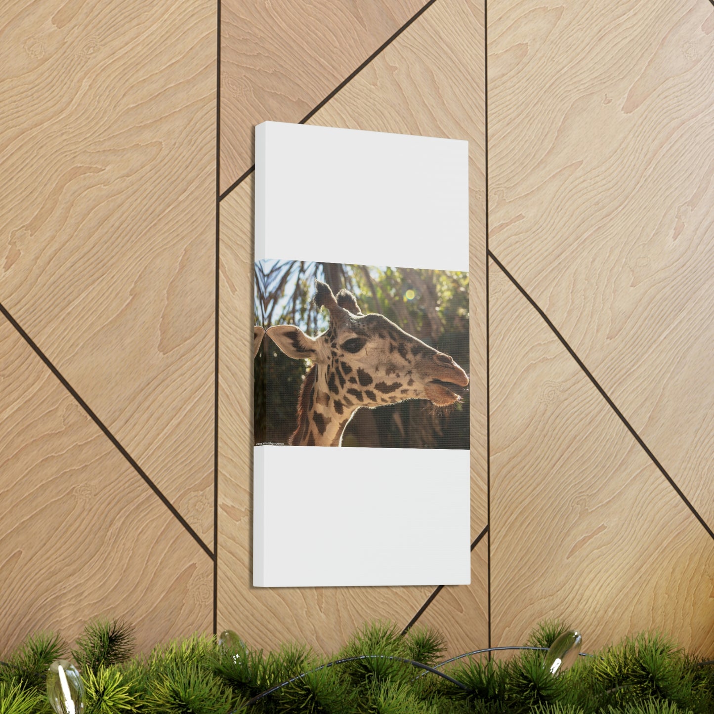 Smiling Giraffe Canvas