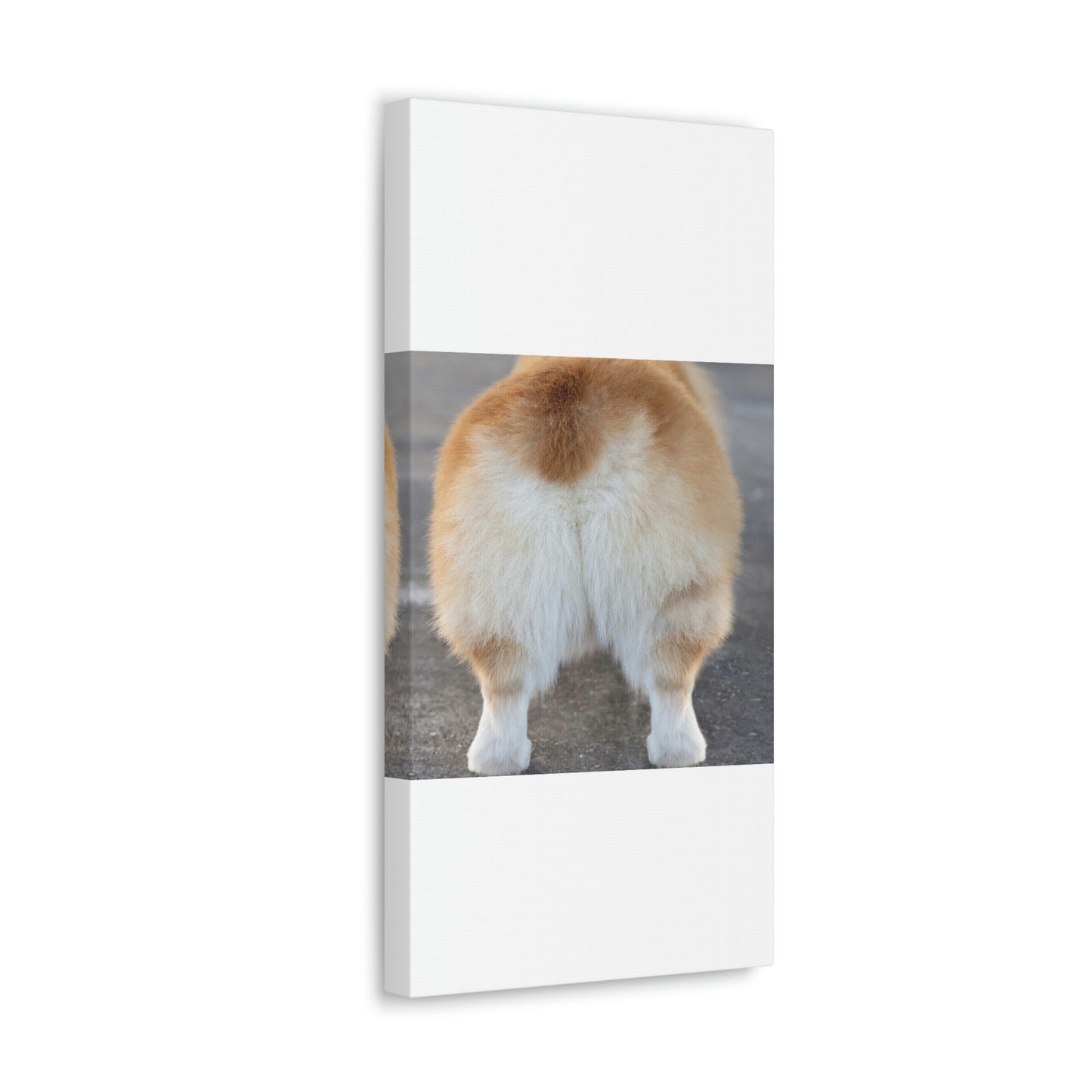 Corgi Butt Canvas