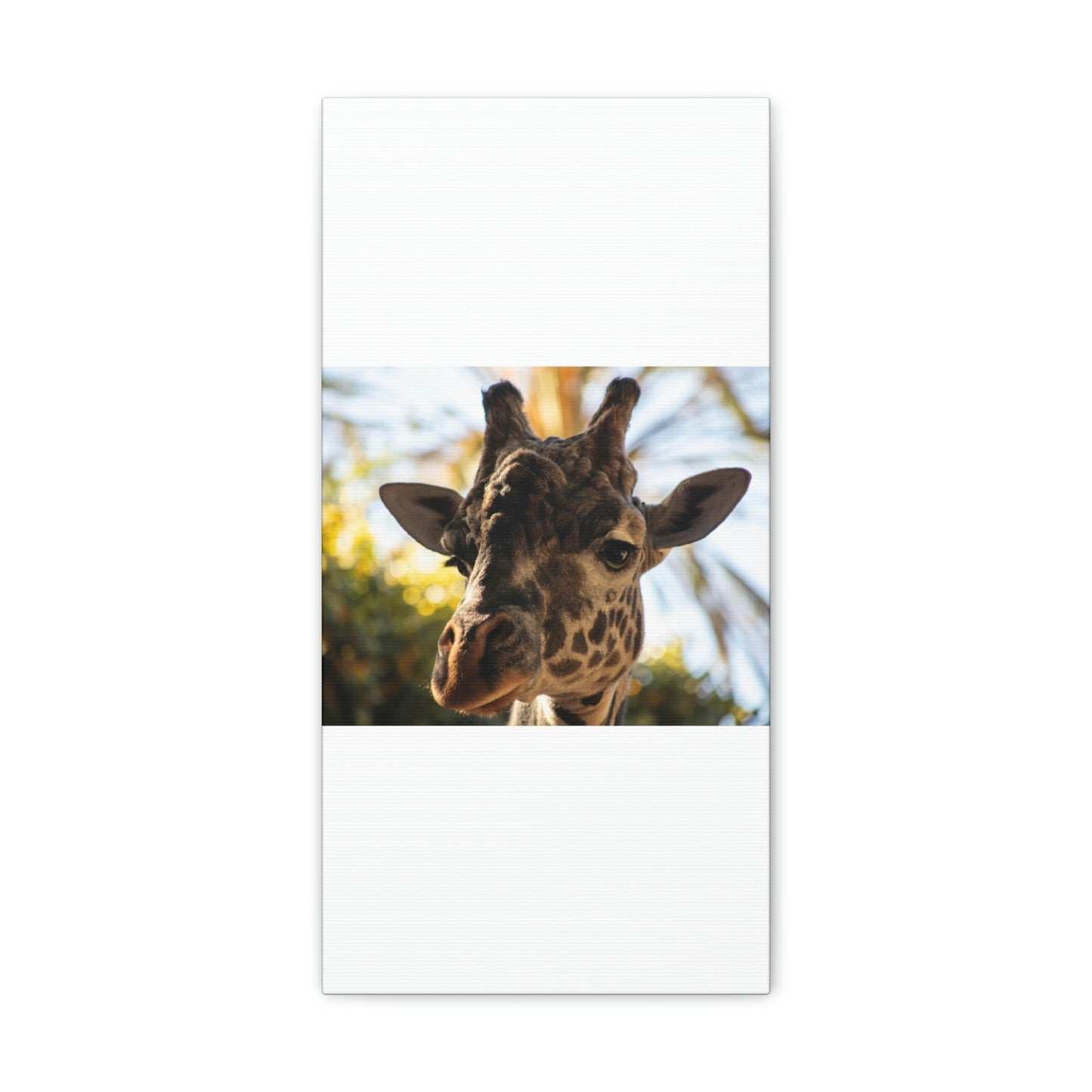 The Giraffe Says Hello Canvas