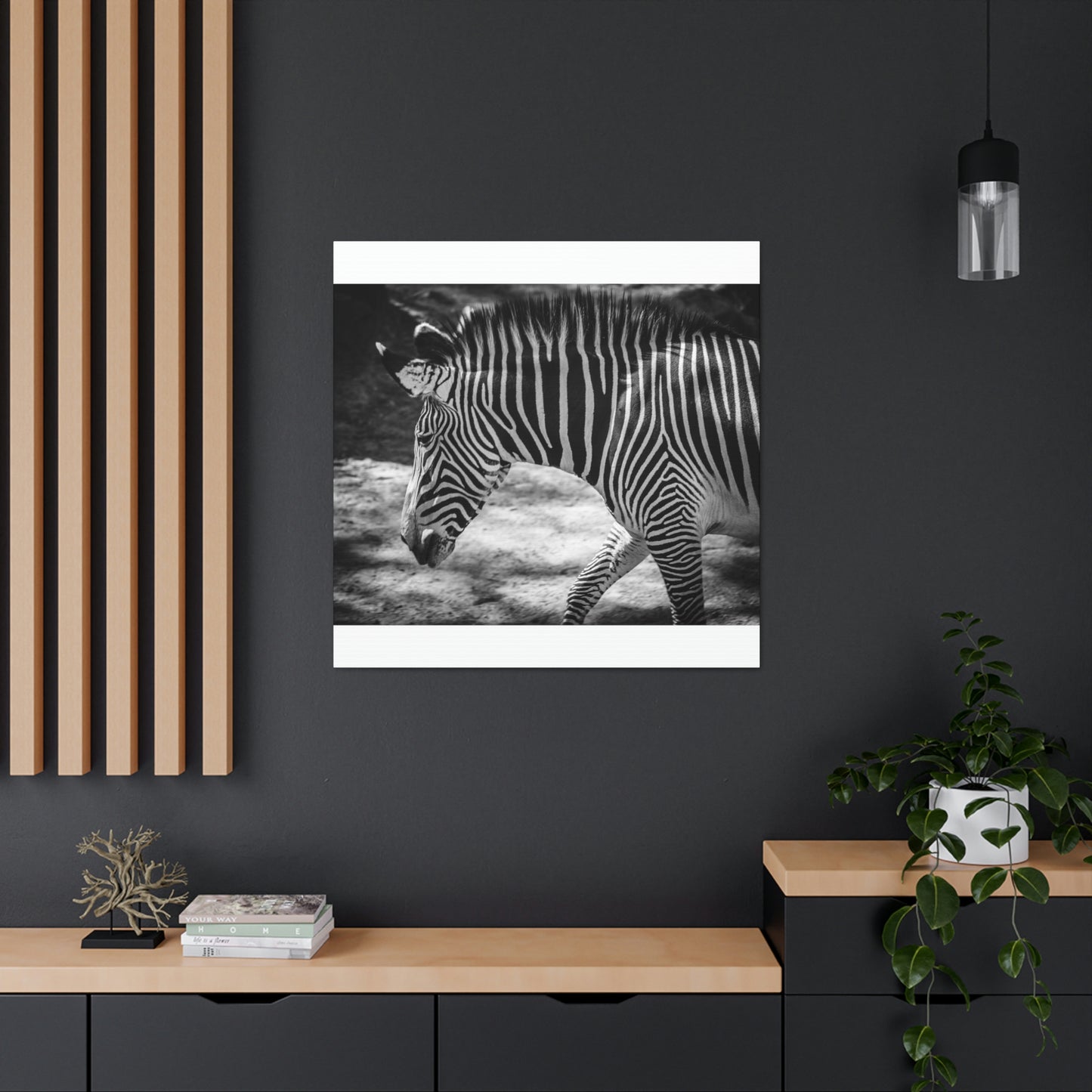 Zebra Bowing Canvas