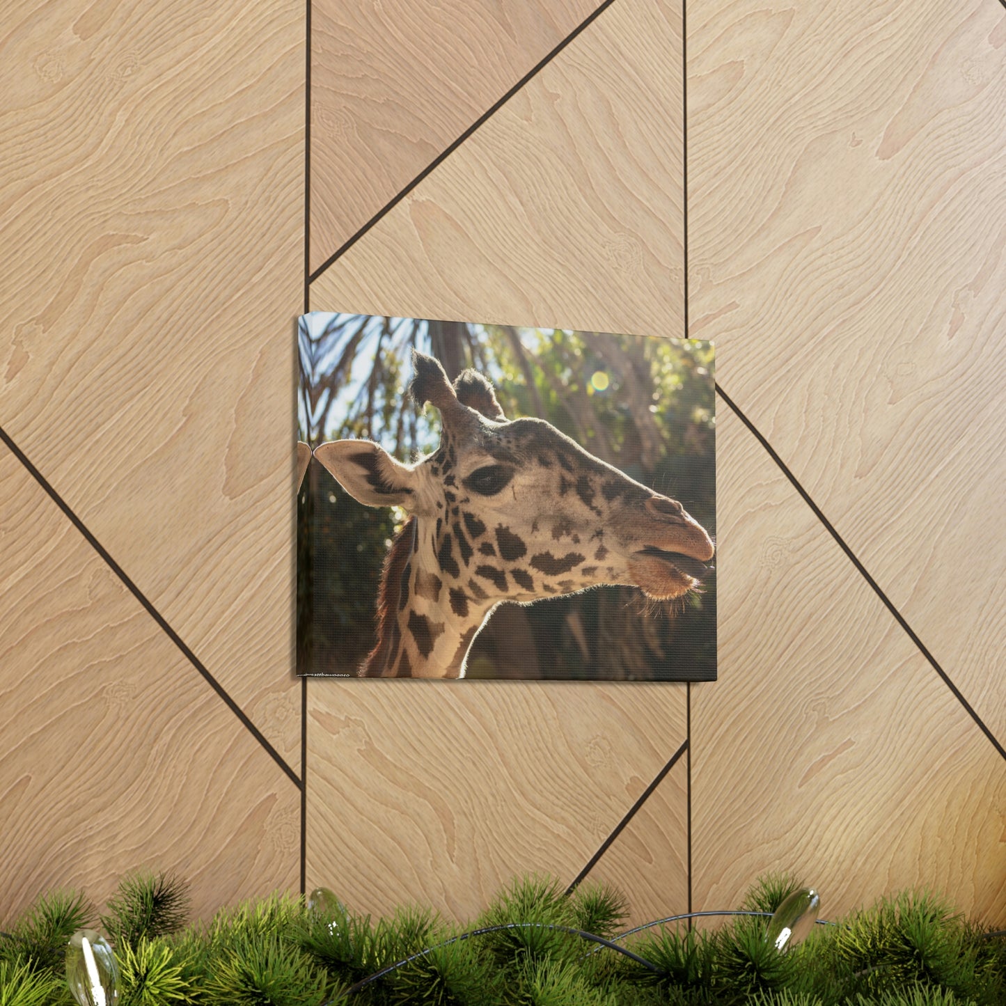 Smiling Giraffe Canvas