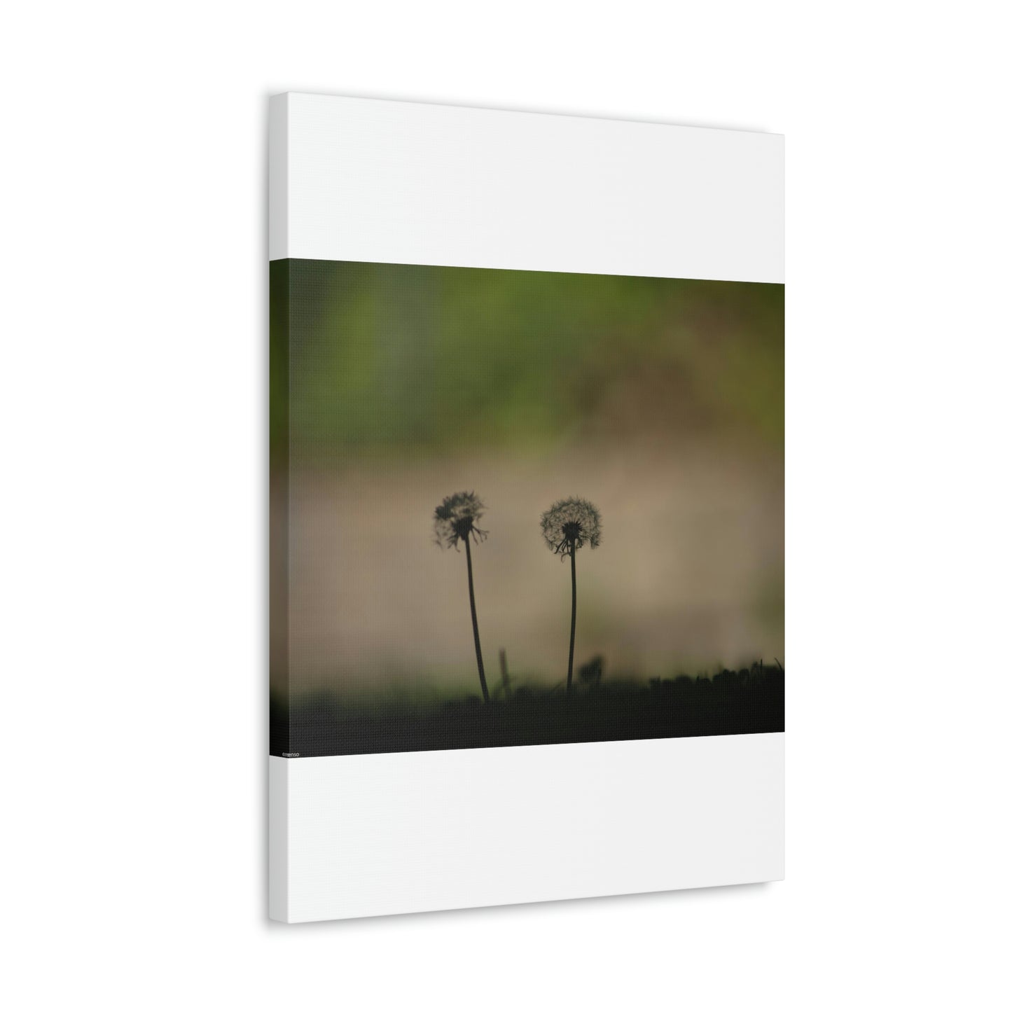 Dandelions Opposing Part 1 Canvas