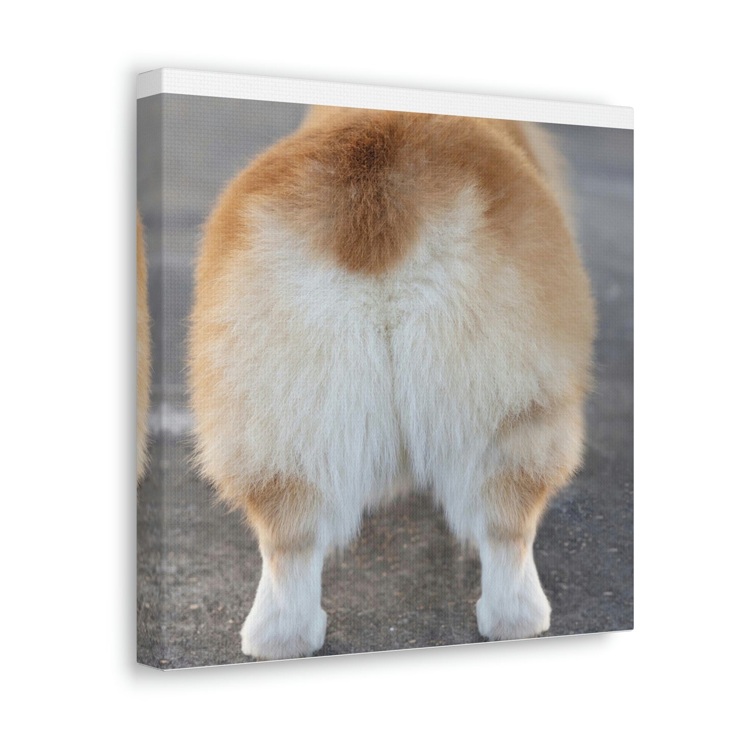 Corgi Butt Canvas