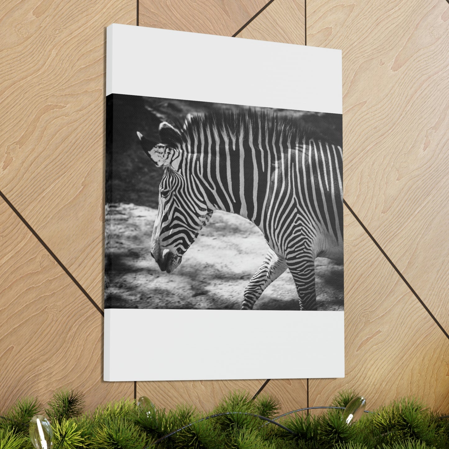 Zebra Bowing Canvas