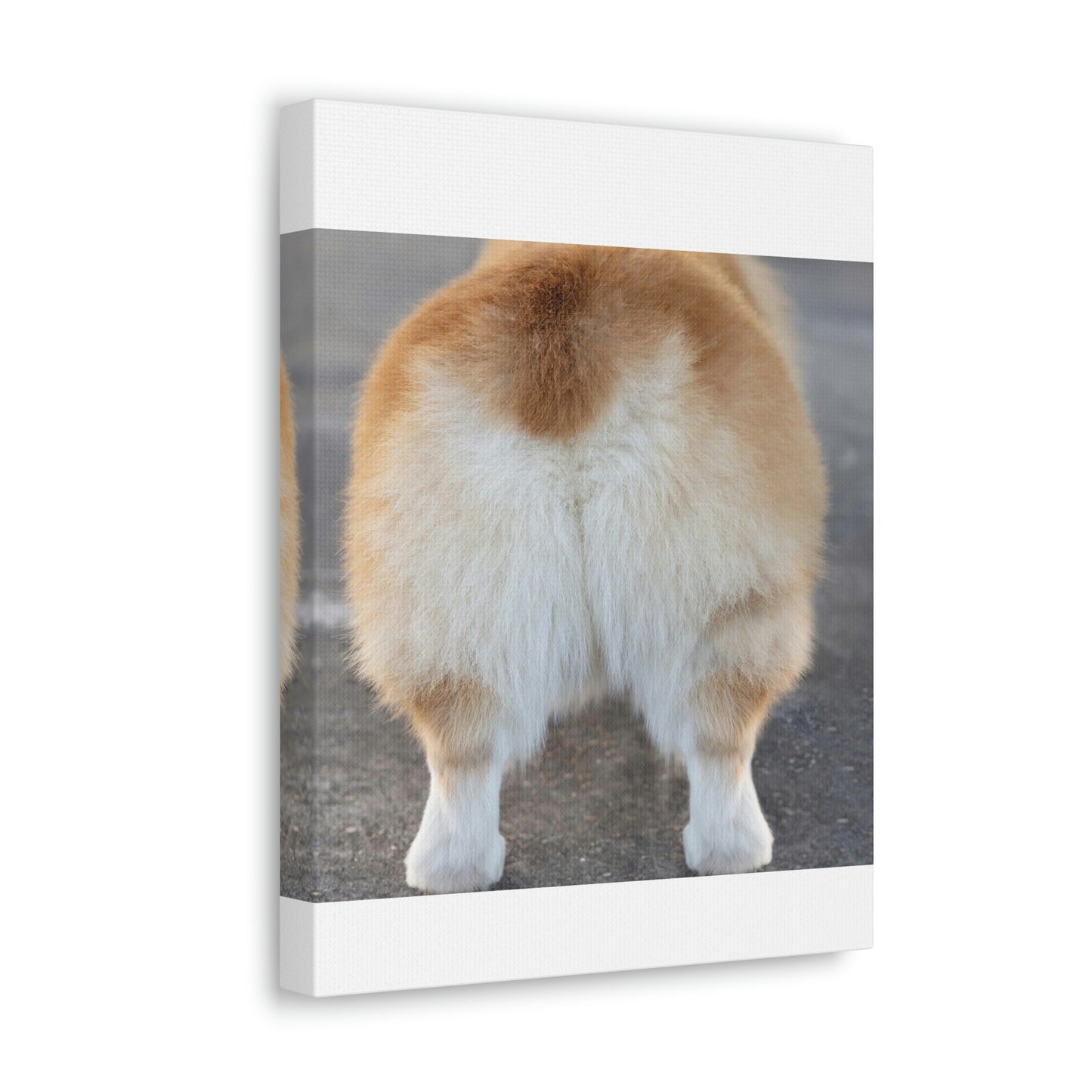 Corgi Butt Canvas