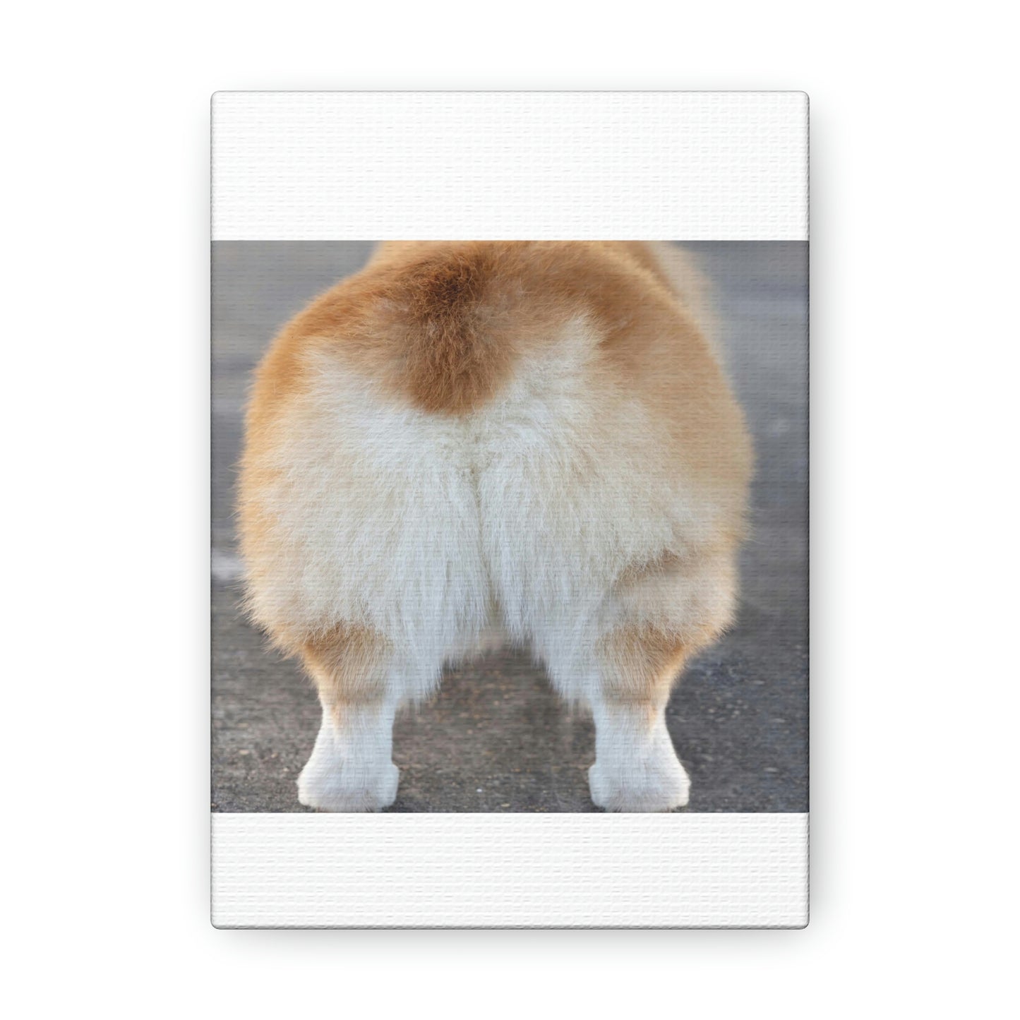 Corgi Butt Canvas