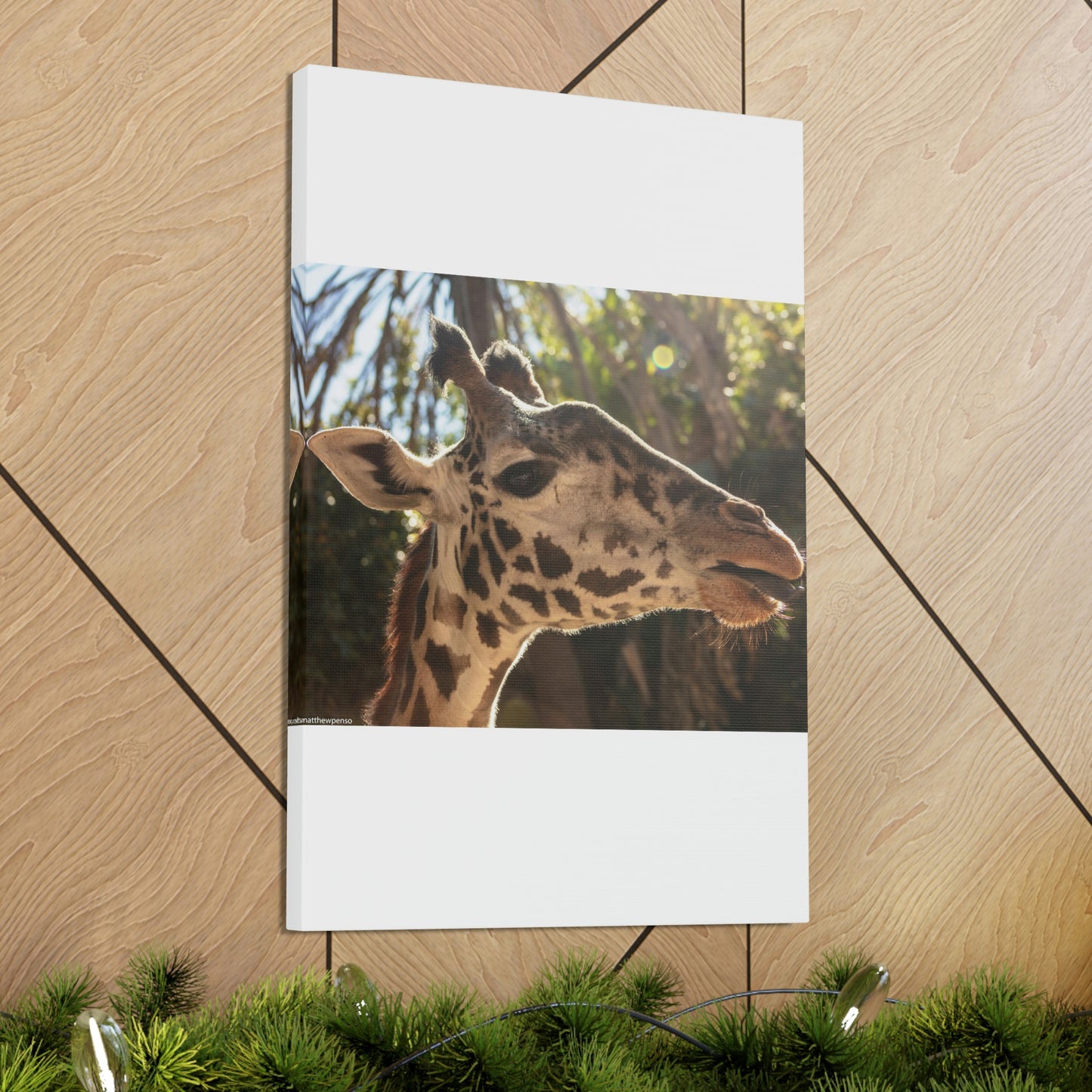 Smiling Giraffe Canvas