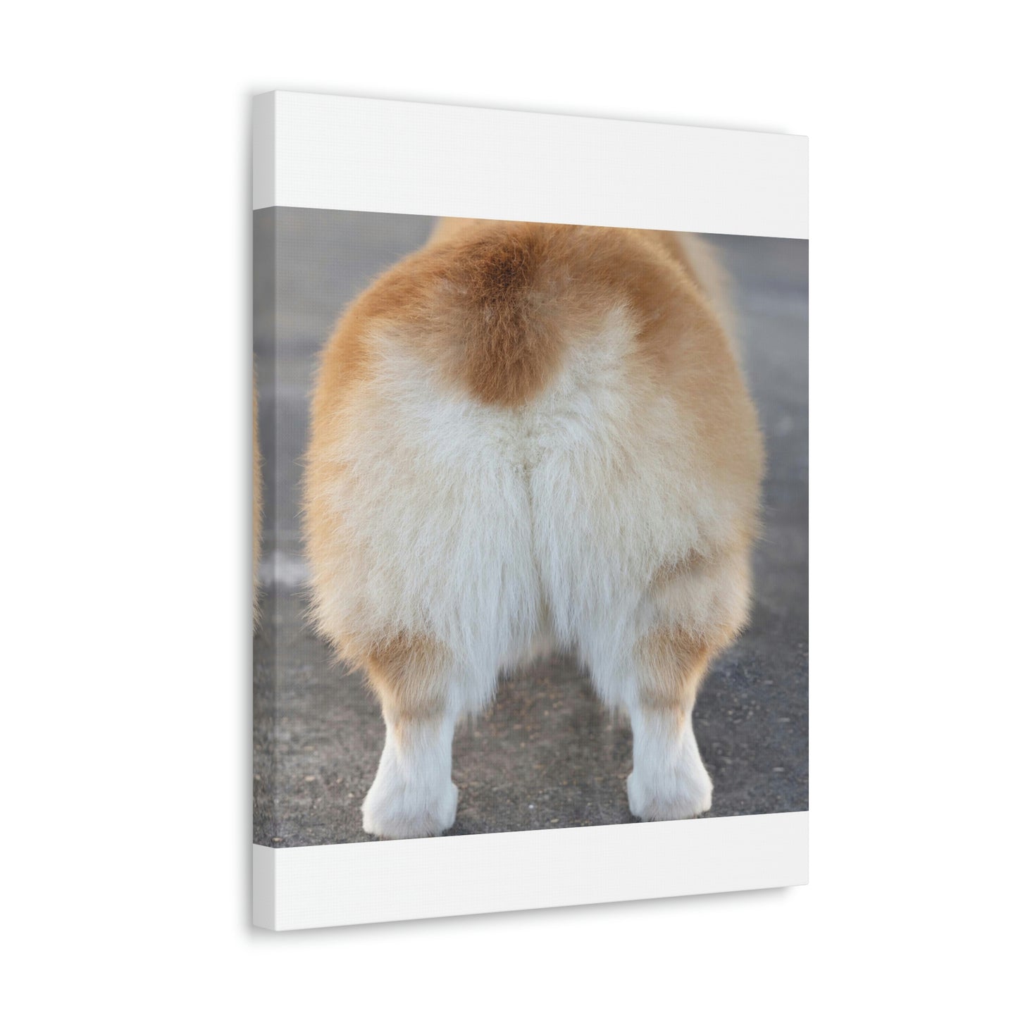 Corgi Butt Canvas