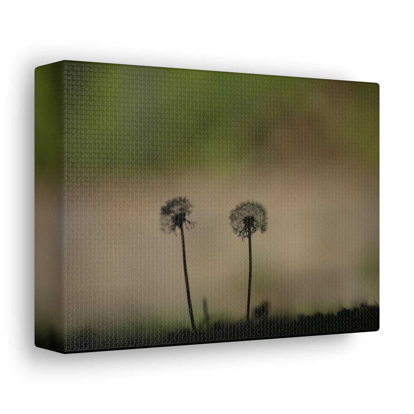 Dandelions Opposing Part 1 Canvas