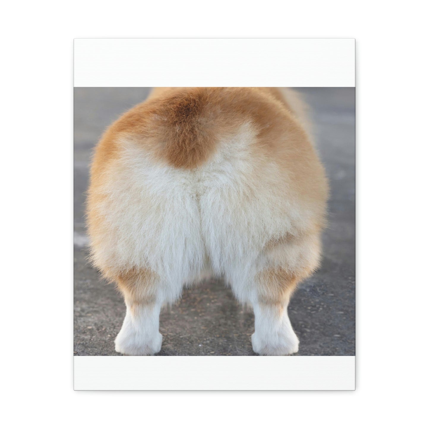 Corgi Butt Canvas