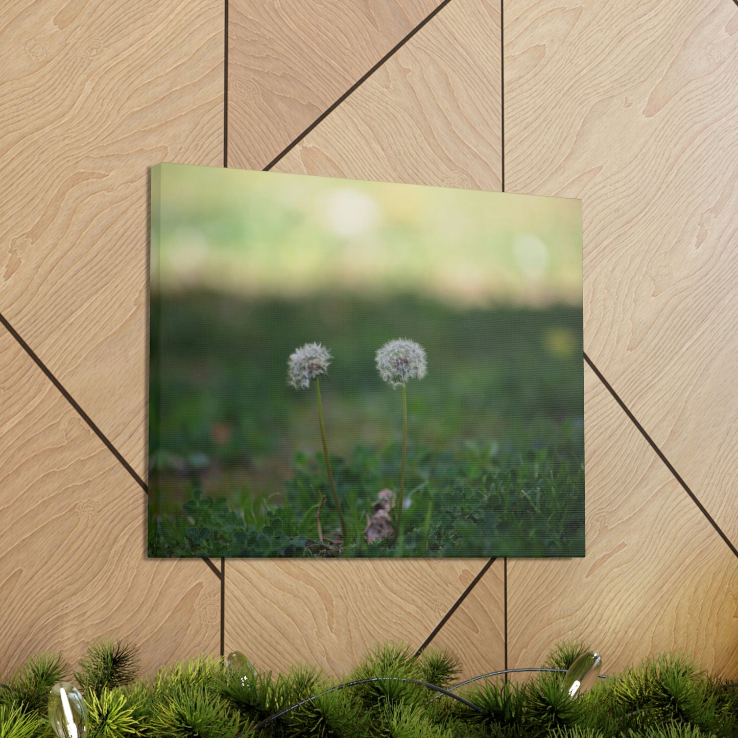 Dandelions Opposing Part 2 Canvas