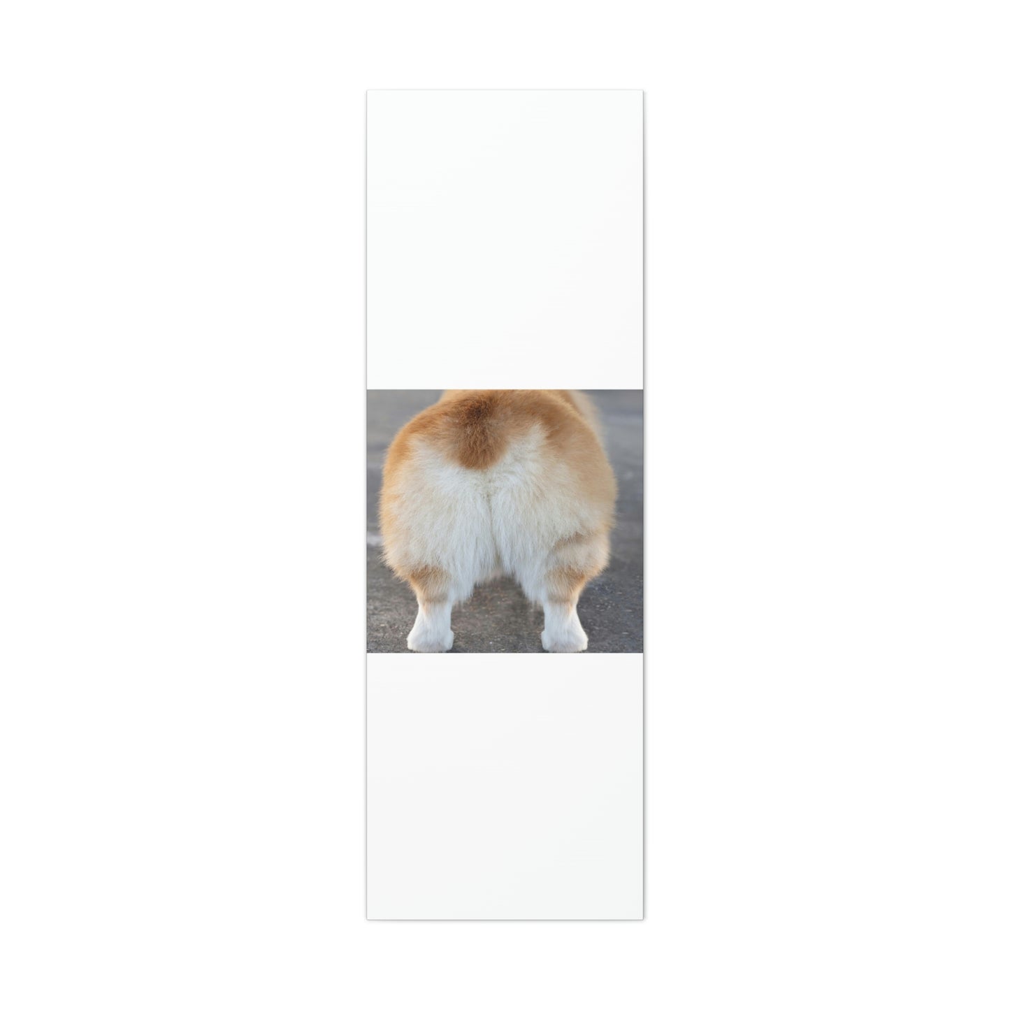 Corgi Butt Canvas