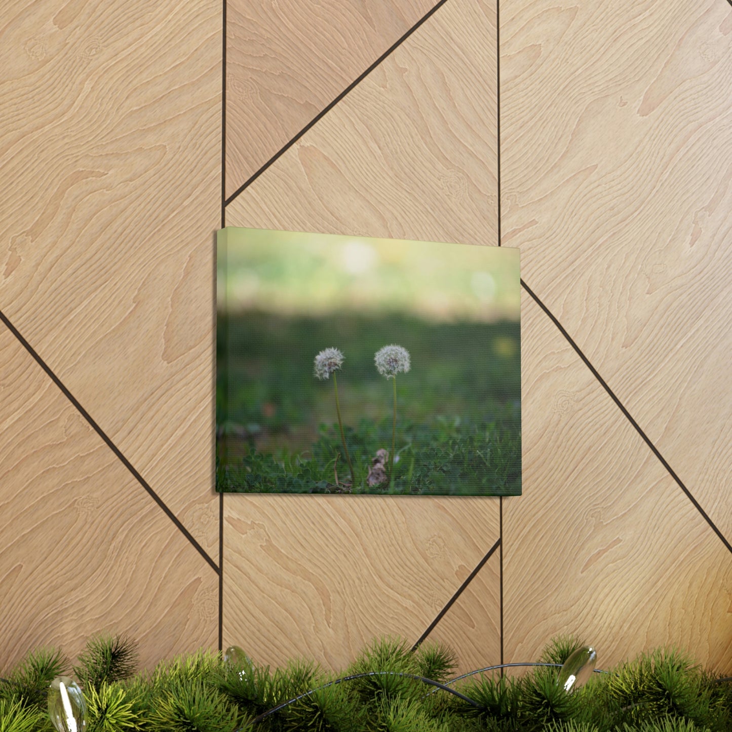 Dandelions Opposing Part 2 Canvas