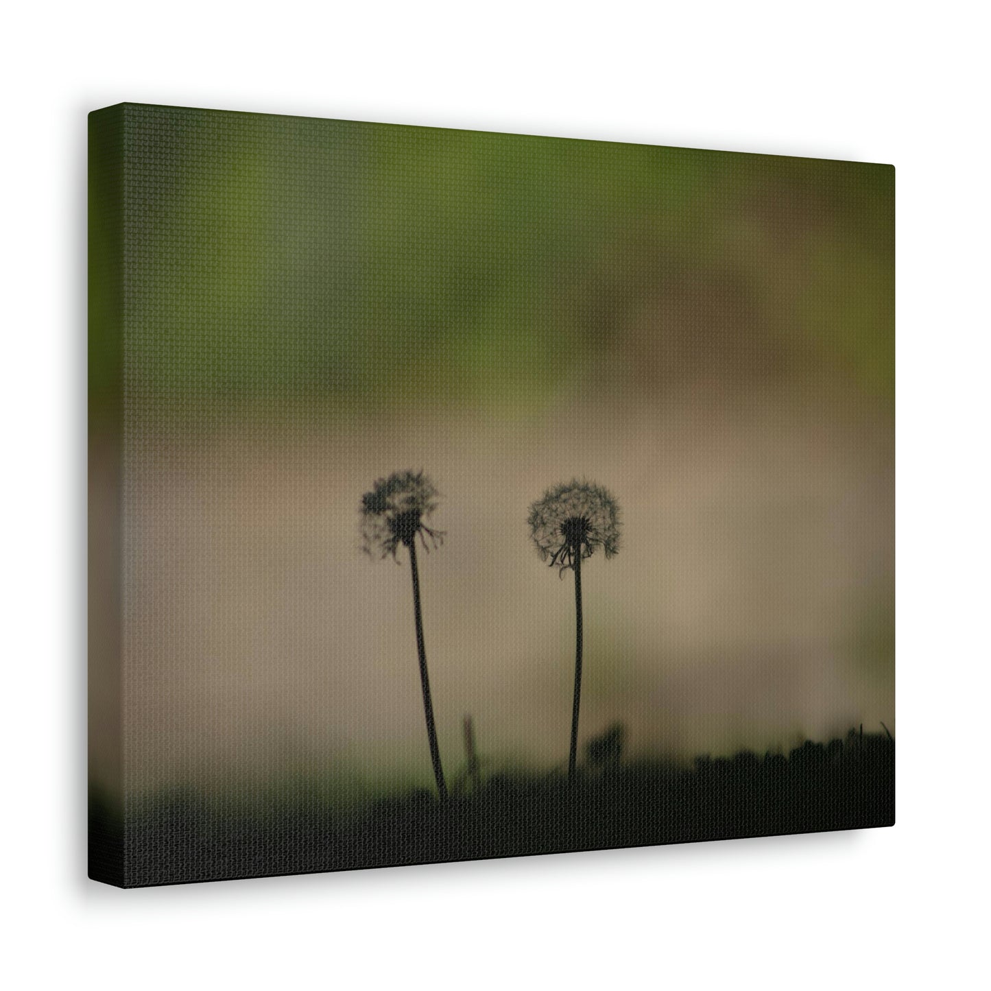 Dandelions Opposing Part 1 Canvas