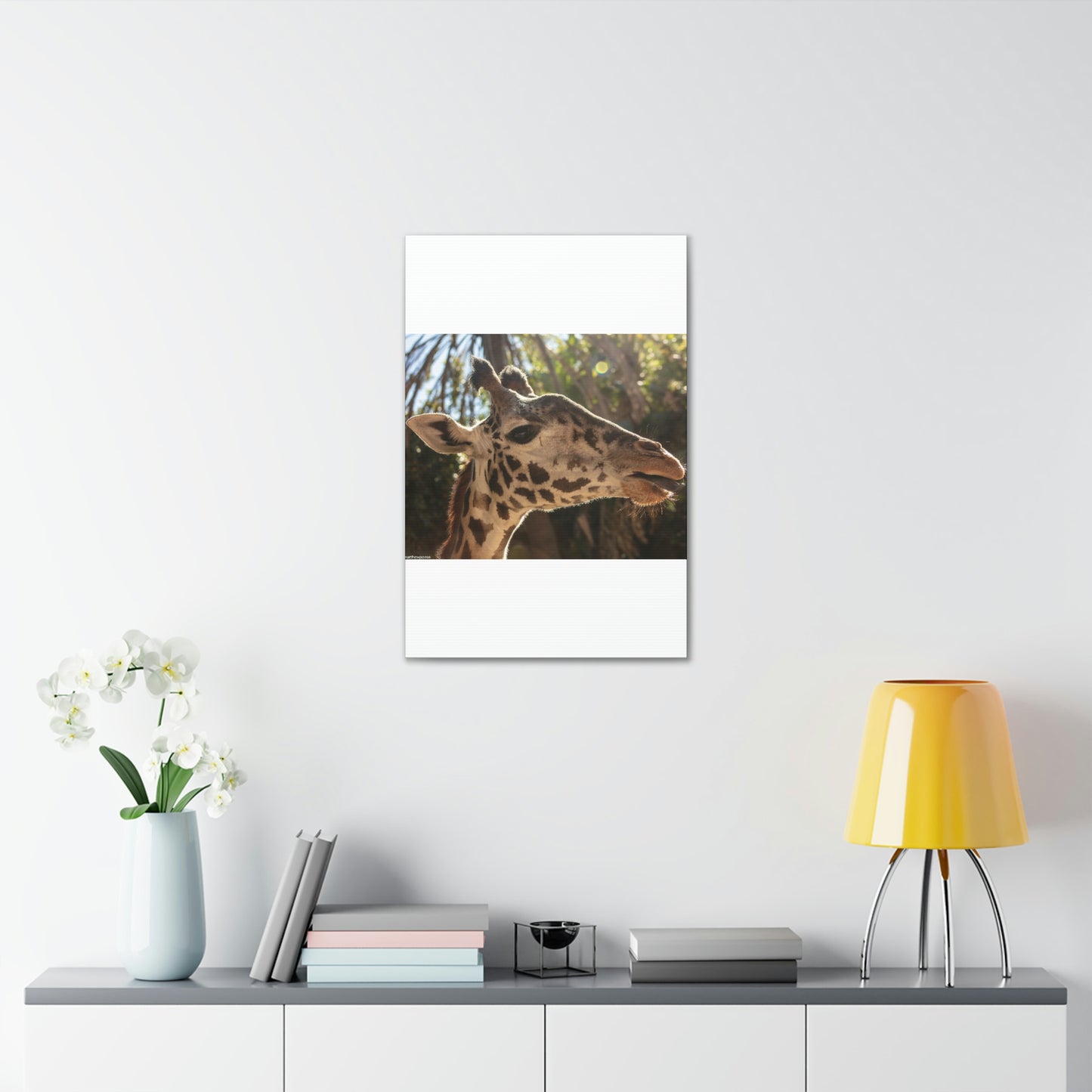 Smiling Giraffe Canvas