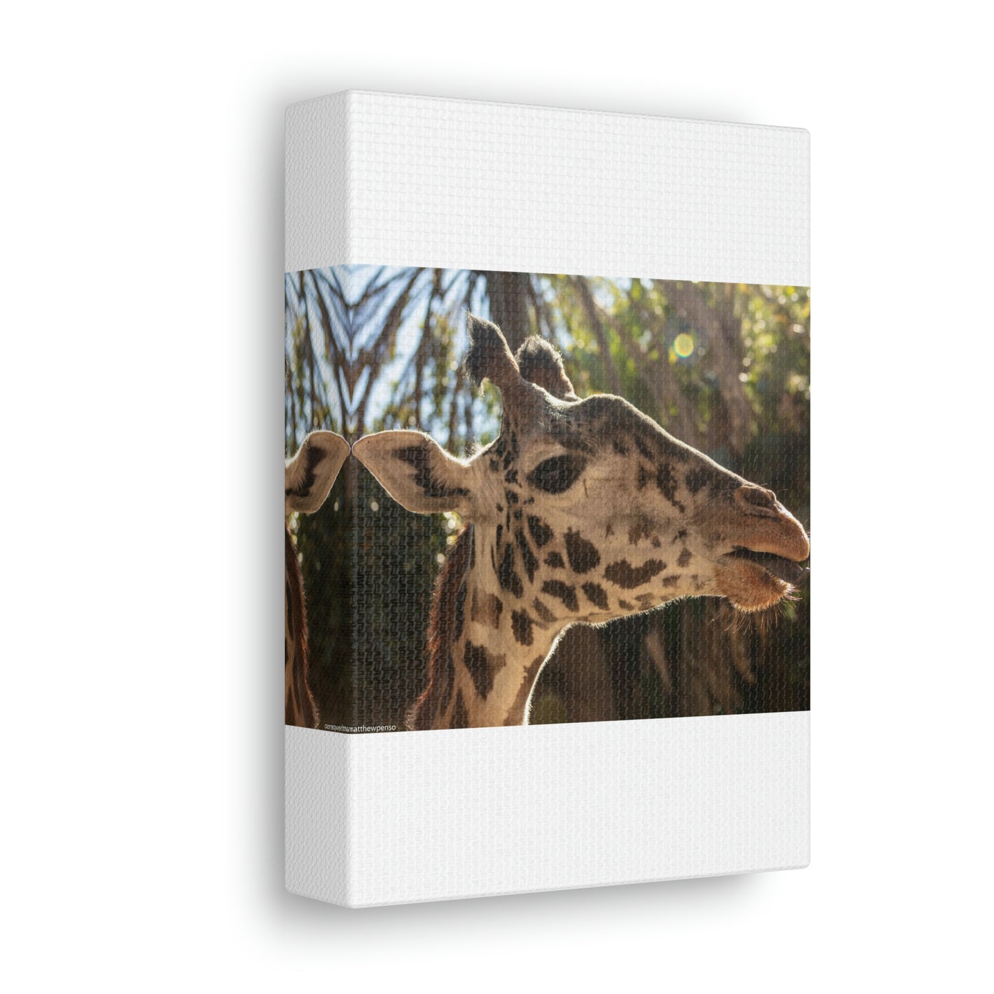 Smiling Giraffe Canvas