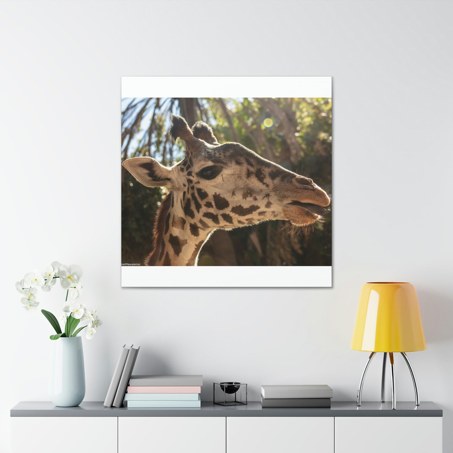 Smiling Giraffe Canvas