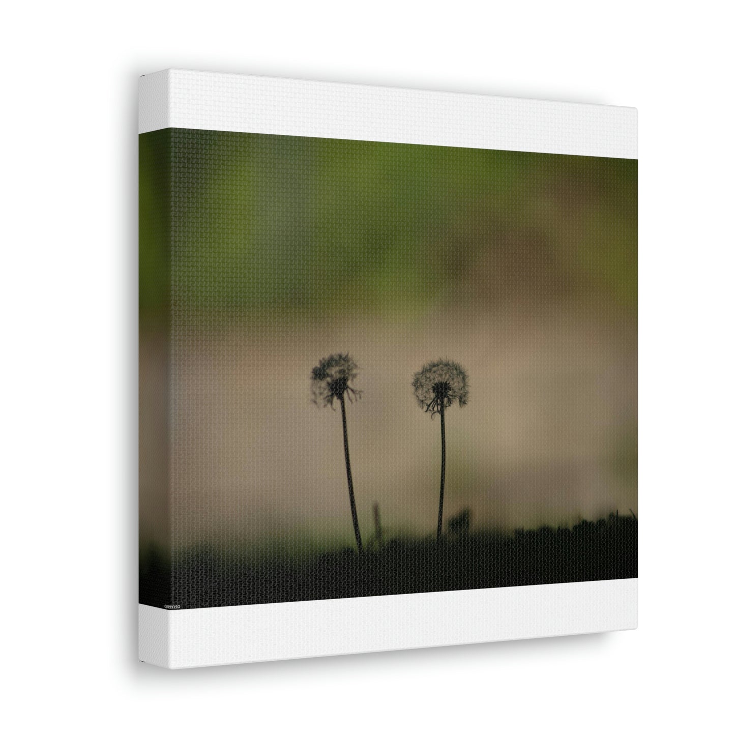 Dandelions Opposing Part 1 Canvas