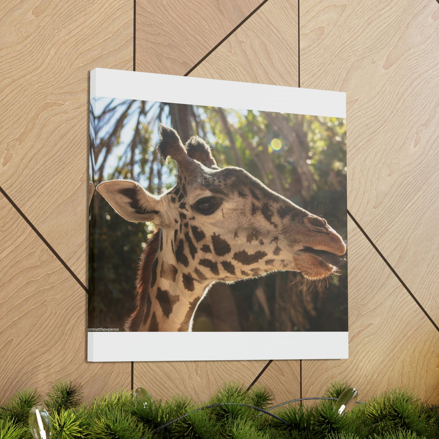 Smiling Giraffe Canvas