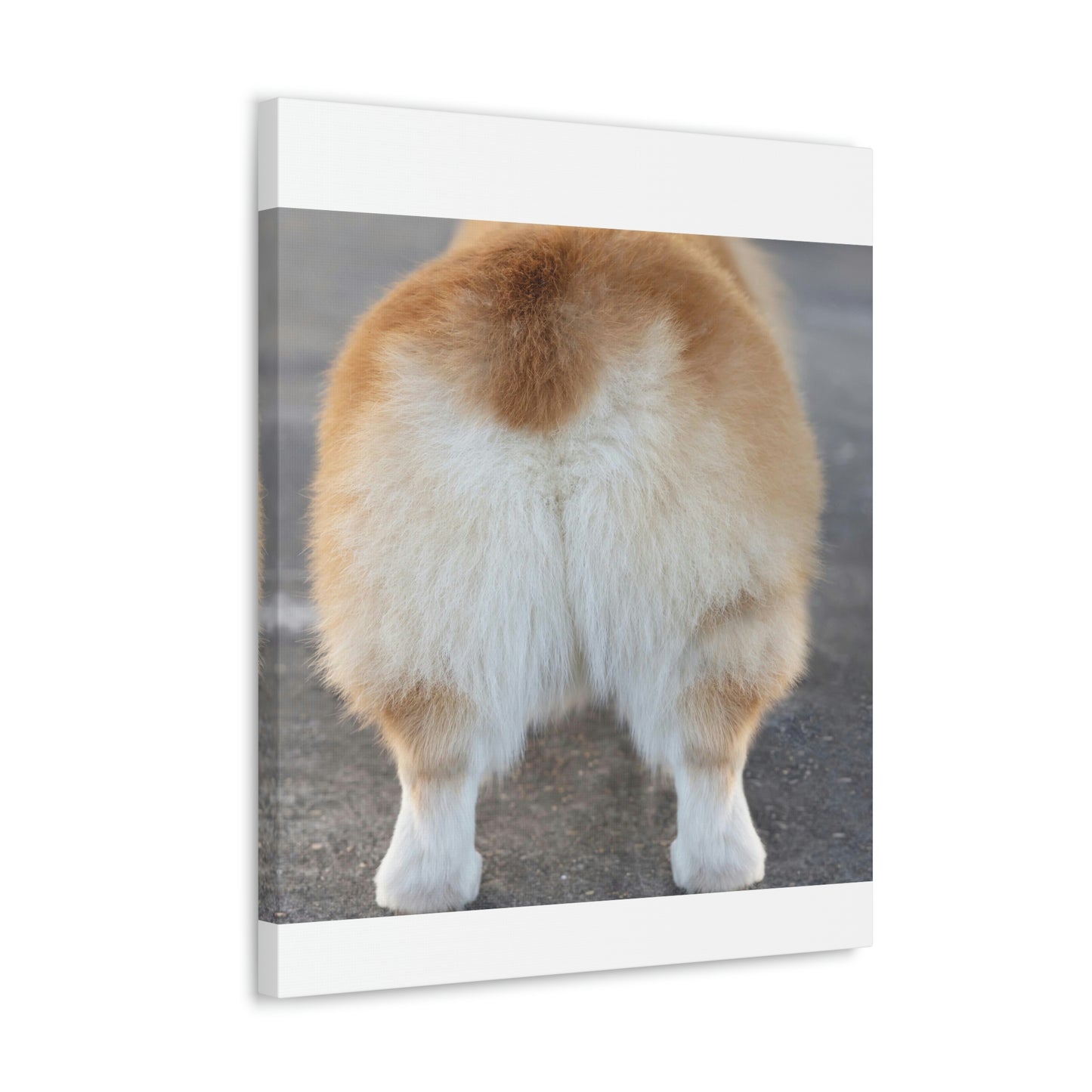 Corgi Butt Canvas