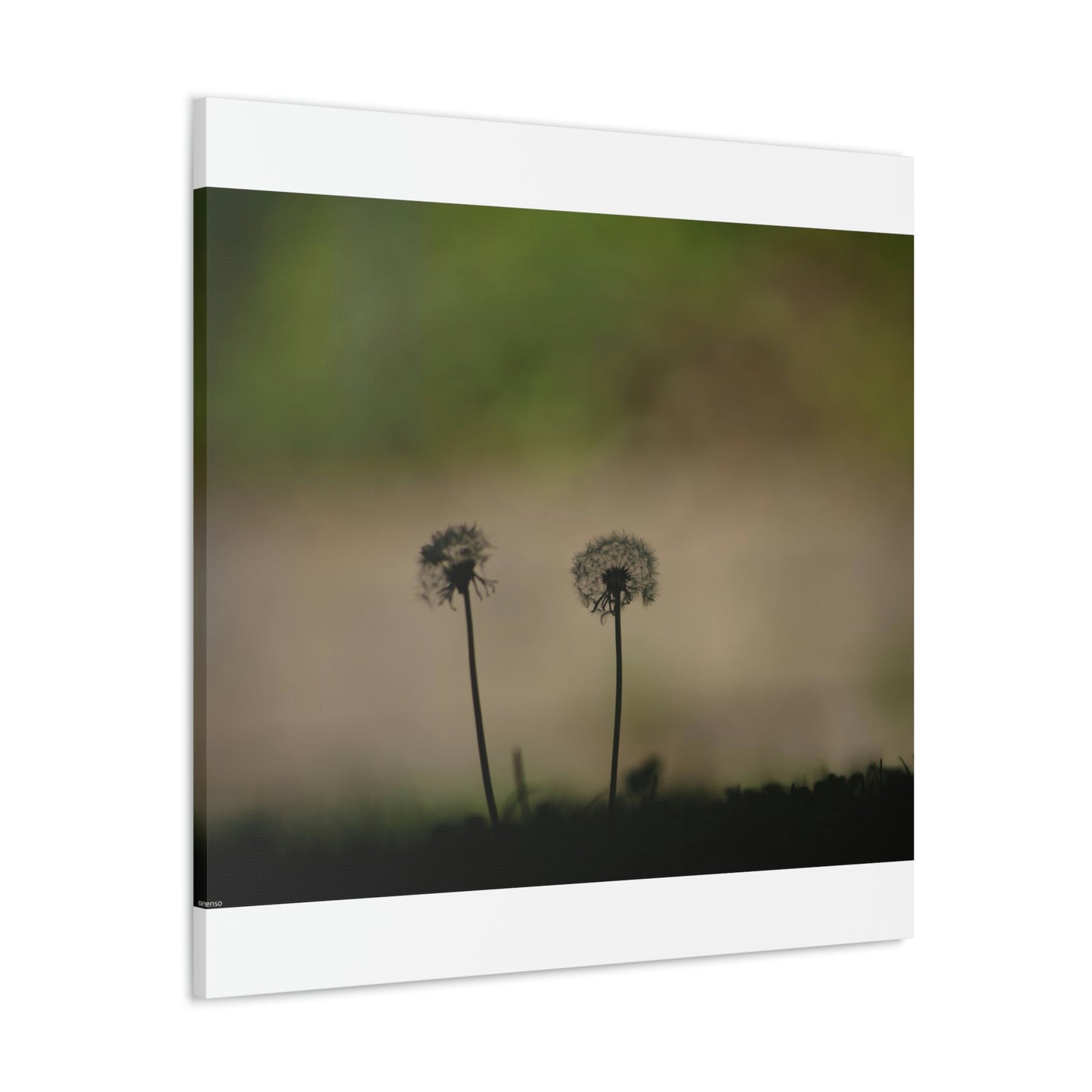 Dandelions Opposing Part 1 Canvas