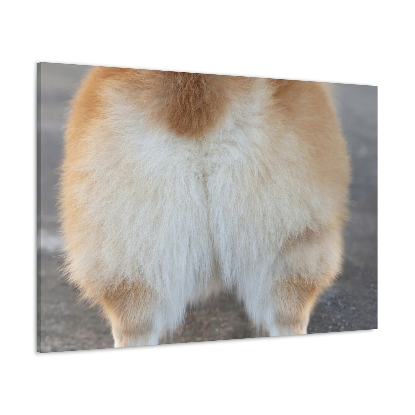 Corgi Butt Canvas