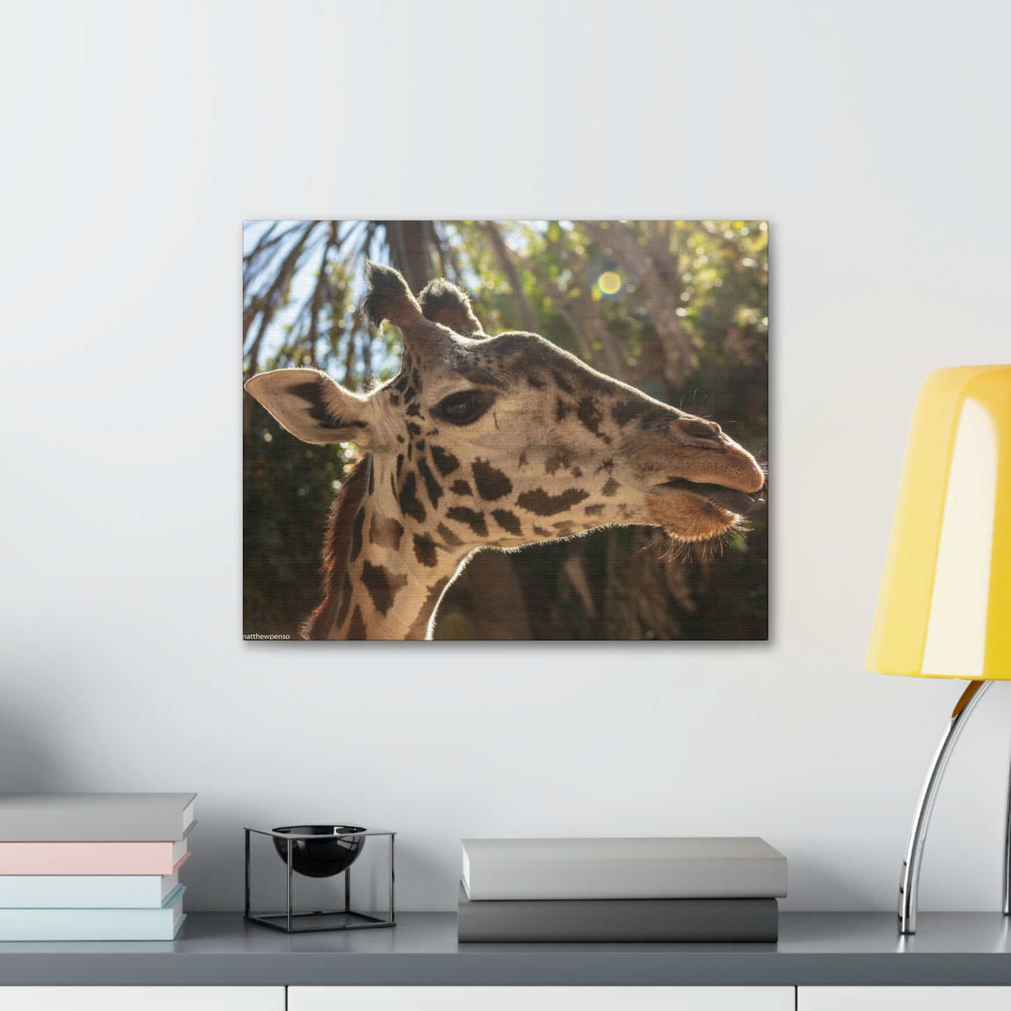 Smiling Giraffe Canvas