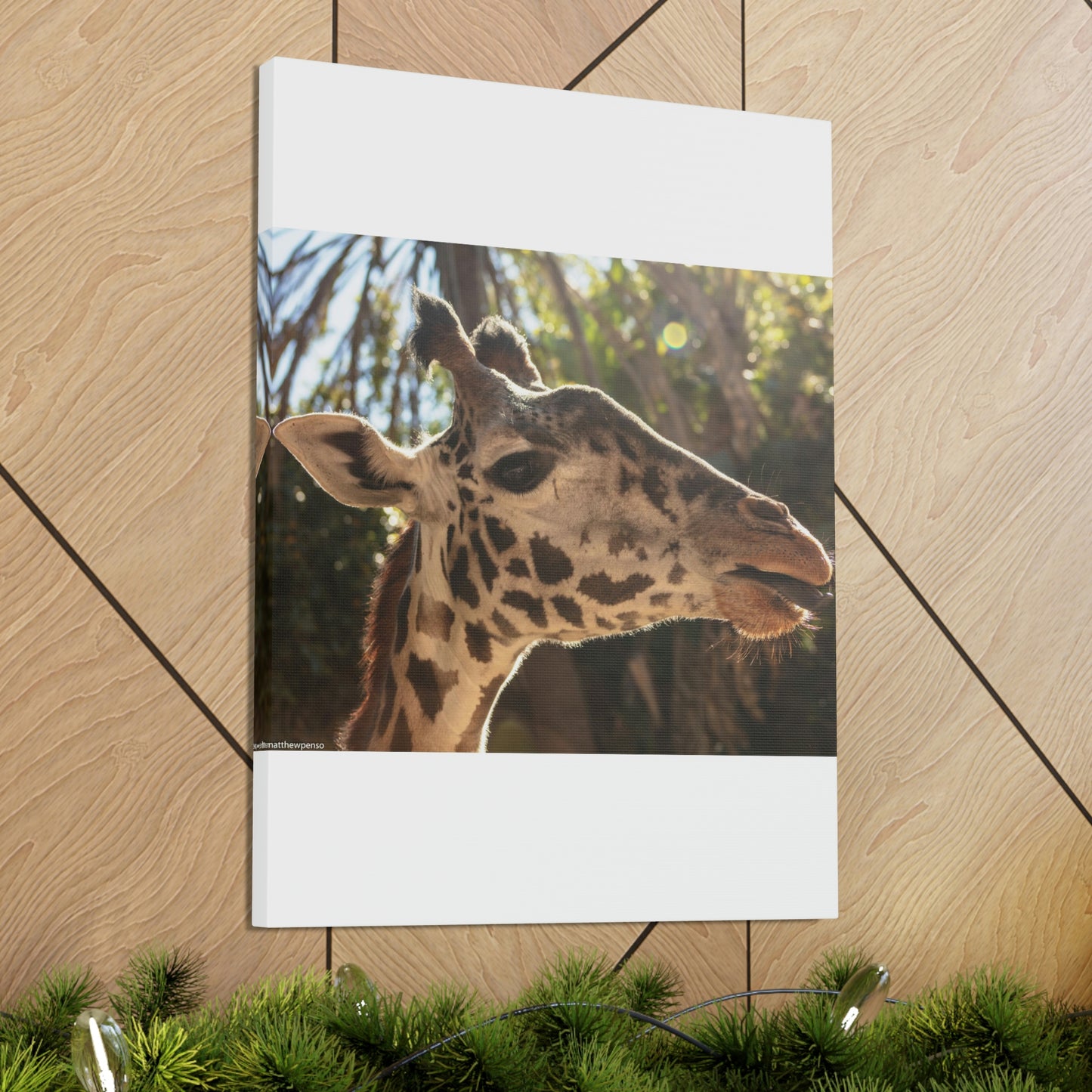 Smiling Giraffe Canvas