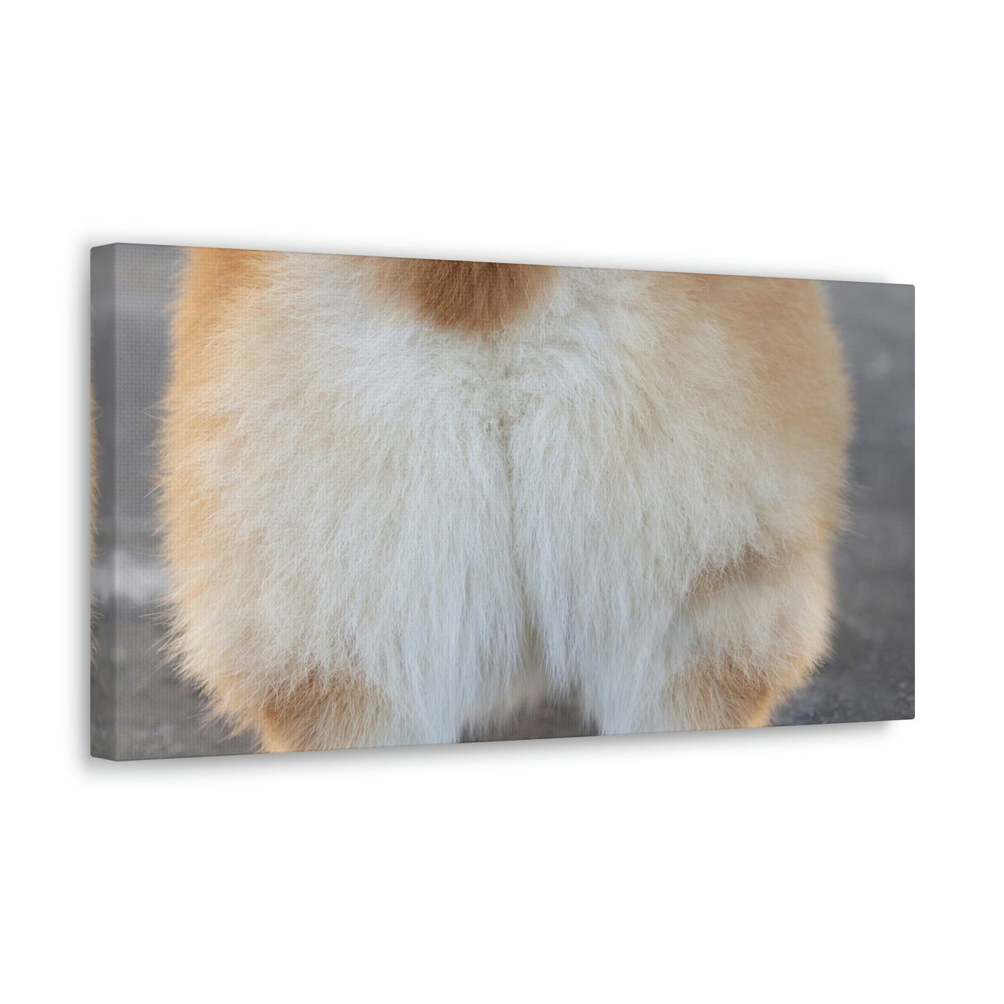 Corgi Butt Canvas